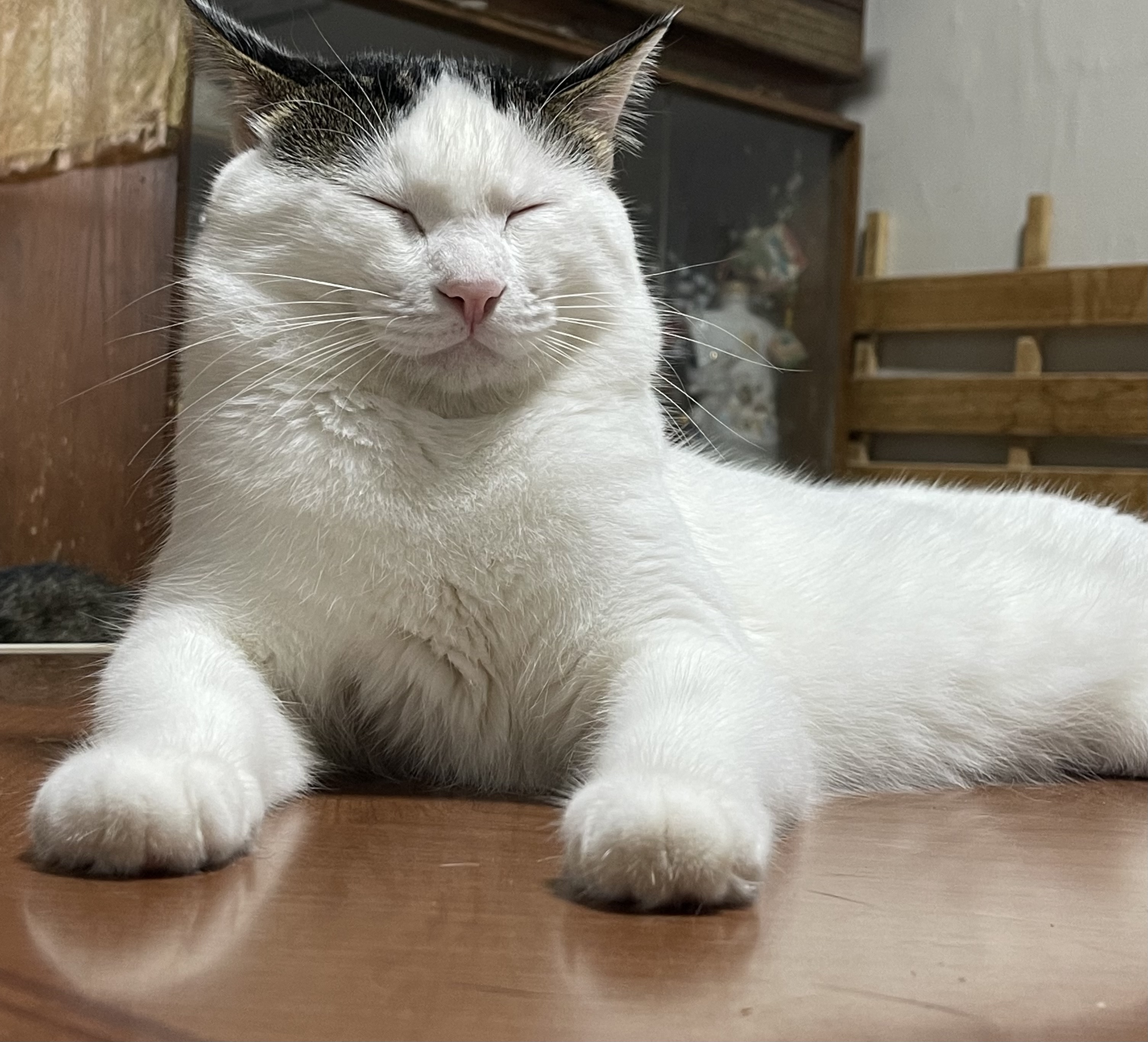 0FBC5676-A8BD-488F-91E8-39B8DB53AACC