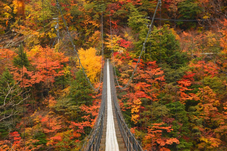 4FF81453-EC67-4AE3-AB4C-7F729E56F884