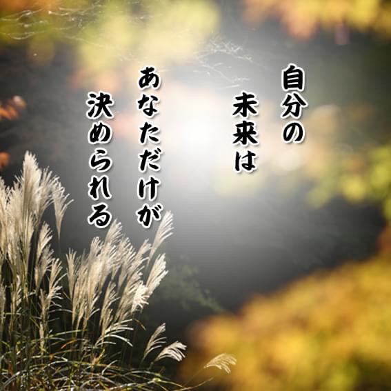 544CF74B-6E88-4B56-9A7E-0BA7B031FFB7