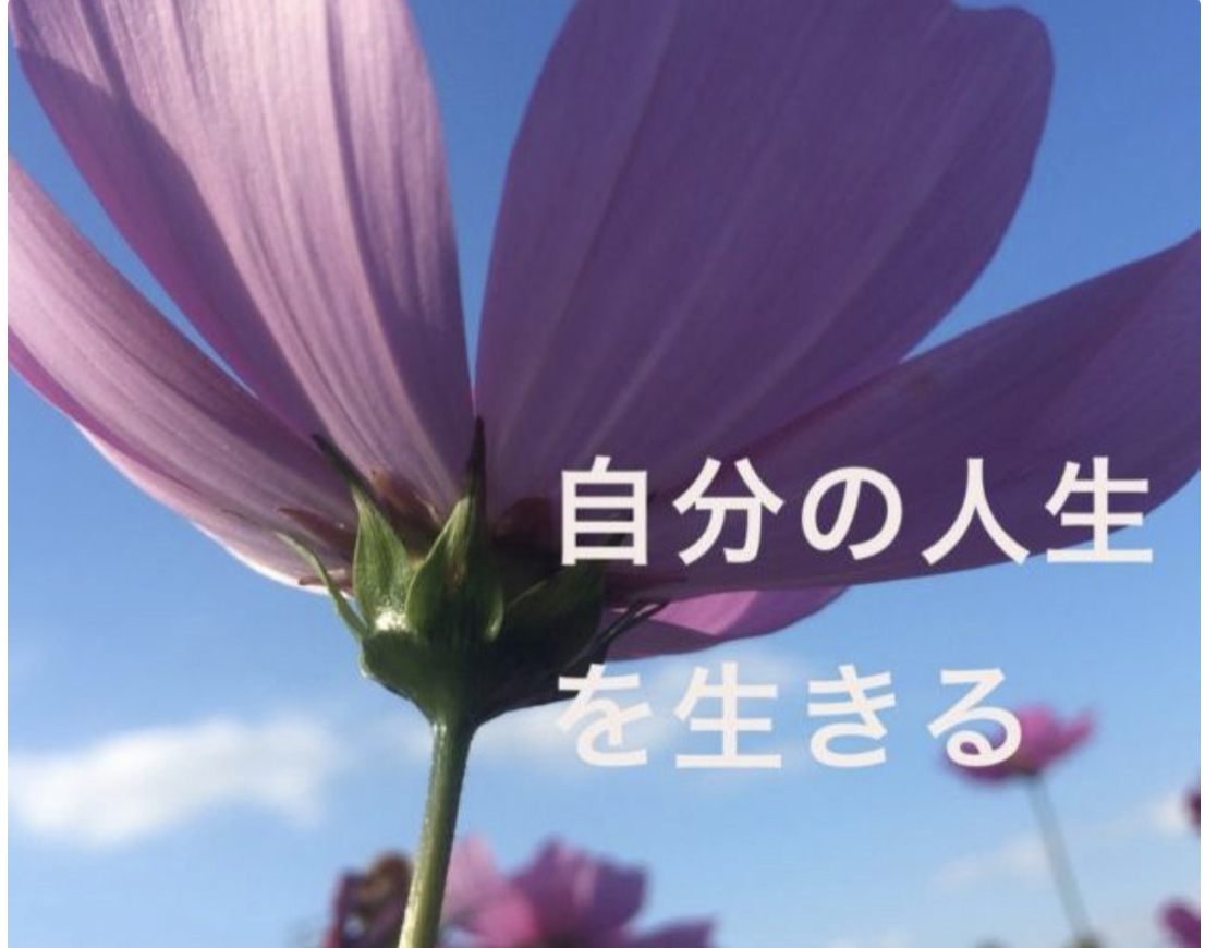 A1381C6F-9C3E-40FE-A90C-4588FB79E8FA