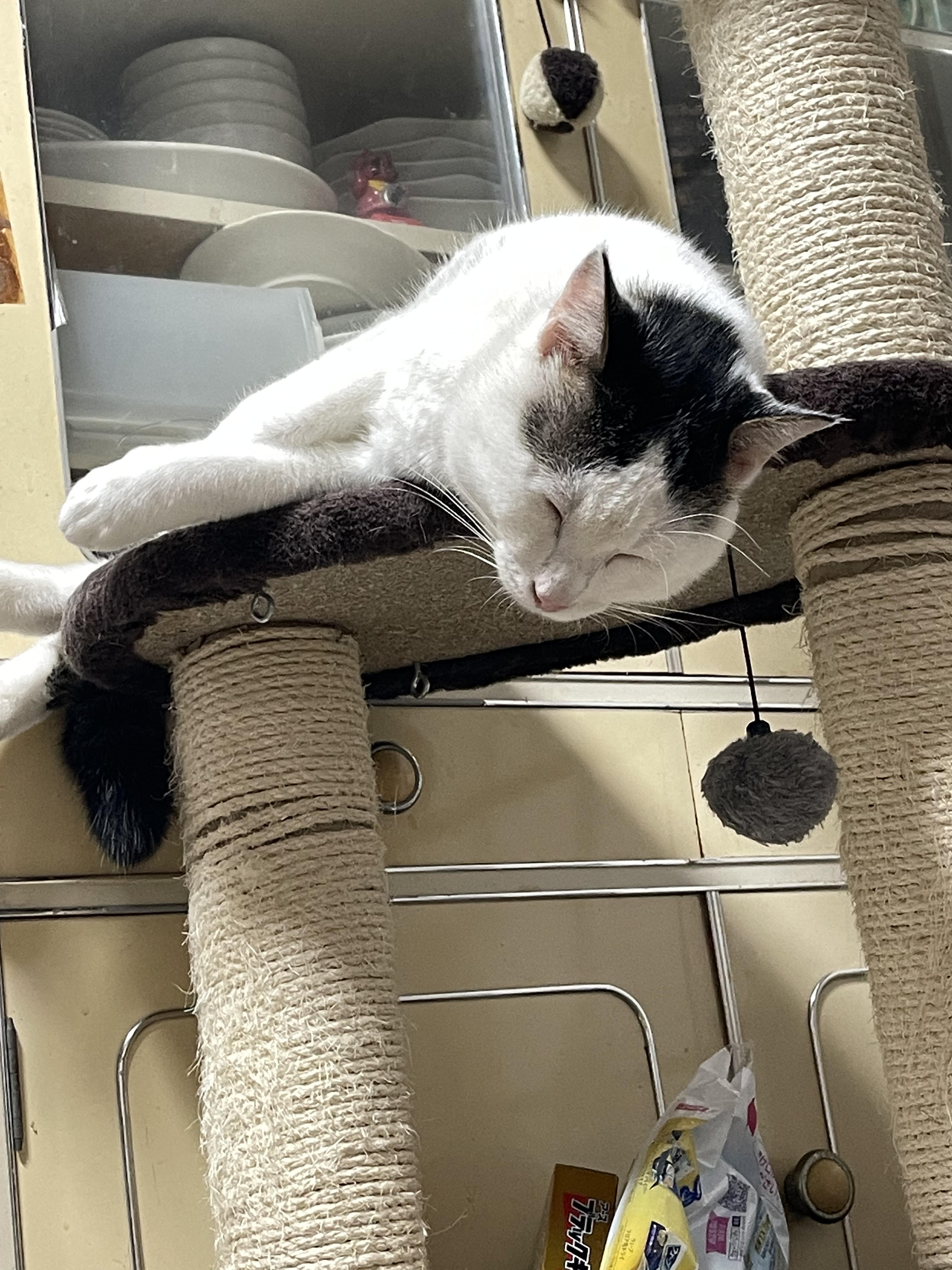 A202A85E-4E0E-44BB-A5F9-8956023A17BE