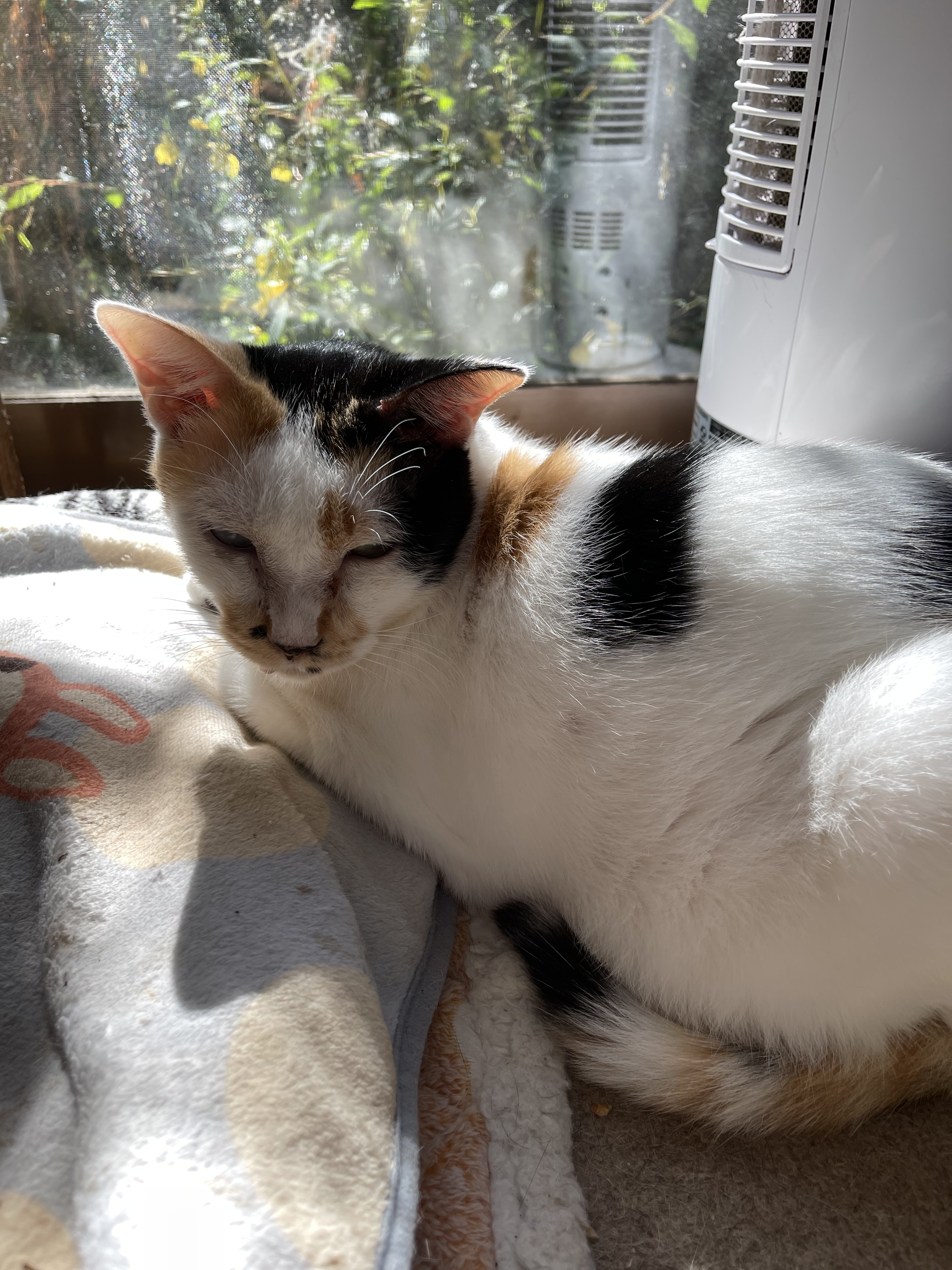 AB63687E-F396-4798-9B80-DF710134AA33