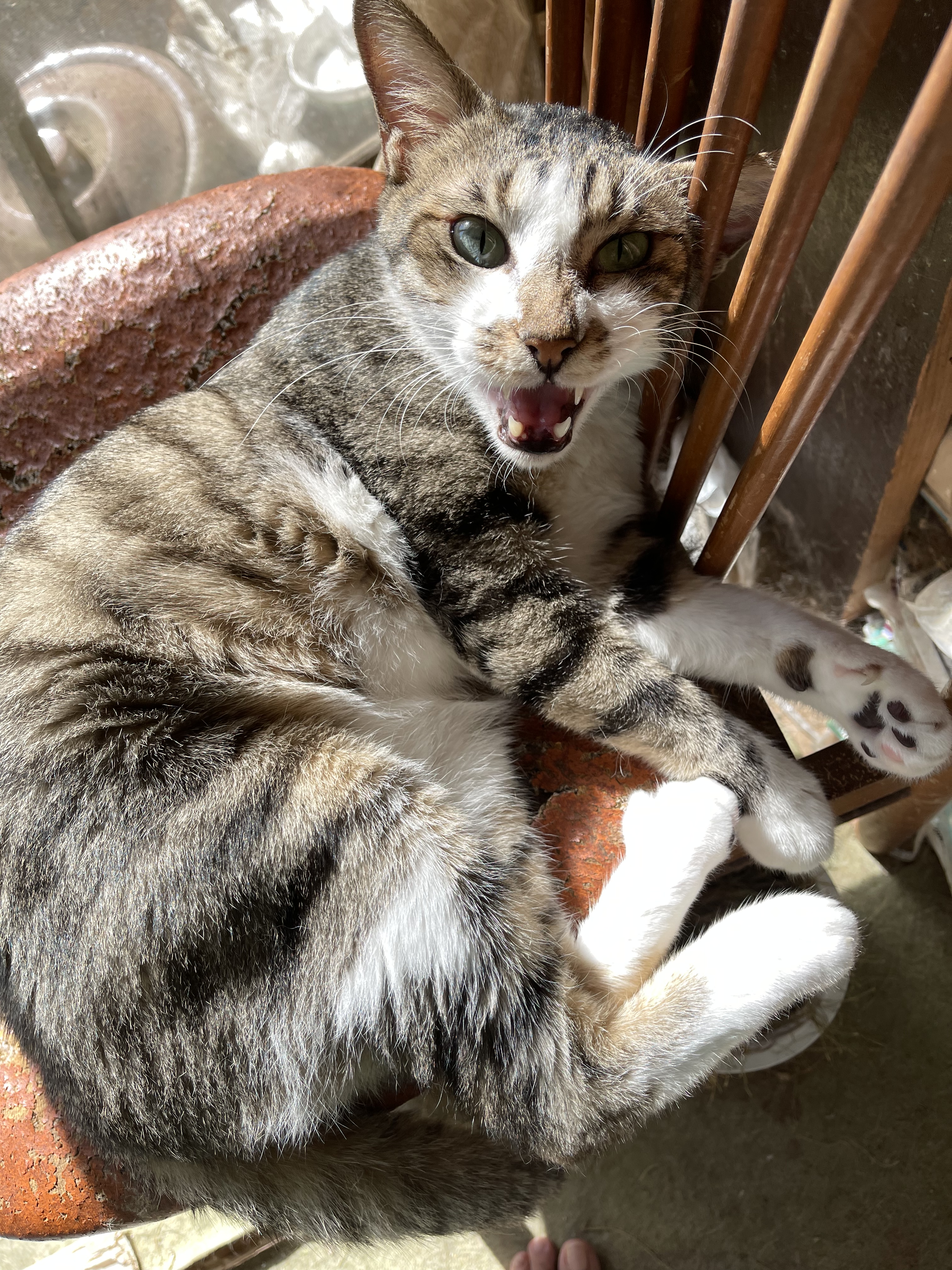 E3E3F342-FD8F-4FE9-B555-566E029D7CBB