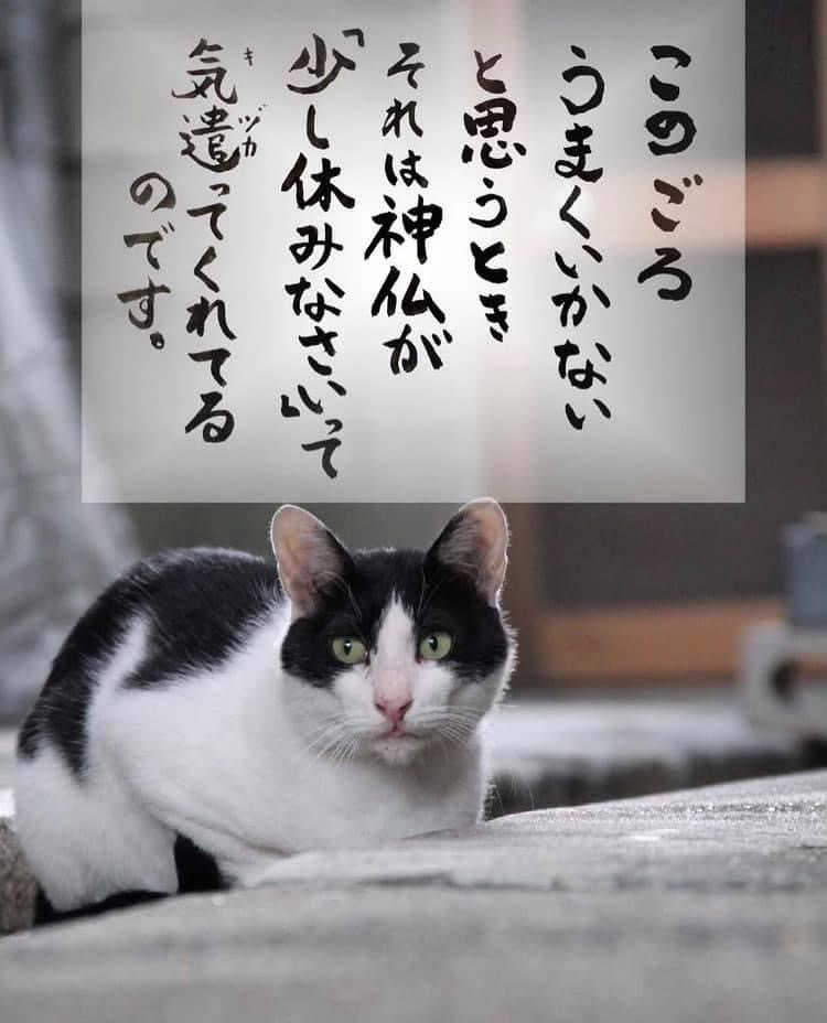 F510A408-C7AD-4D9C-A018-9D36B3DA5DF5