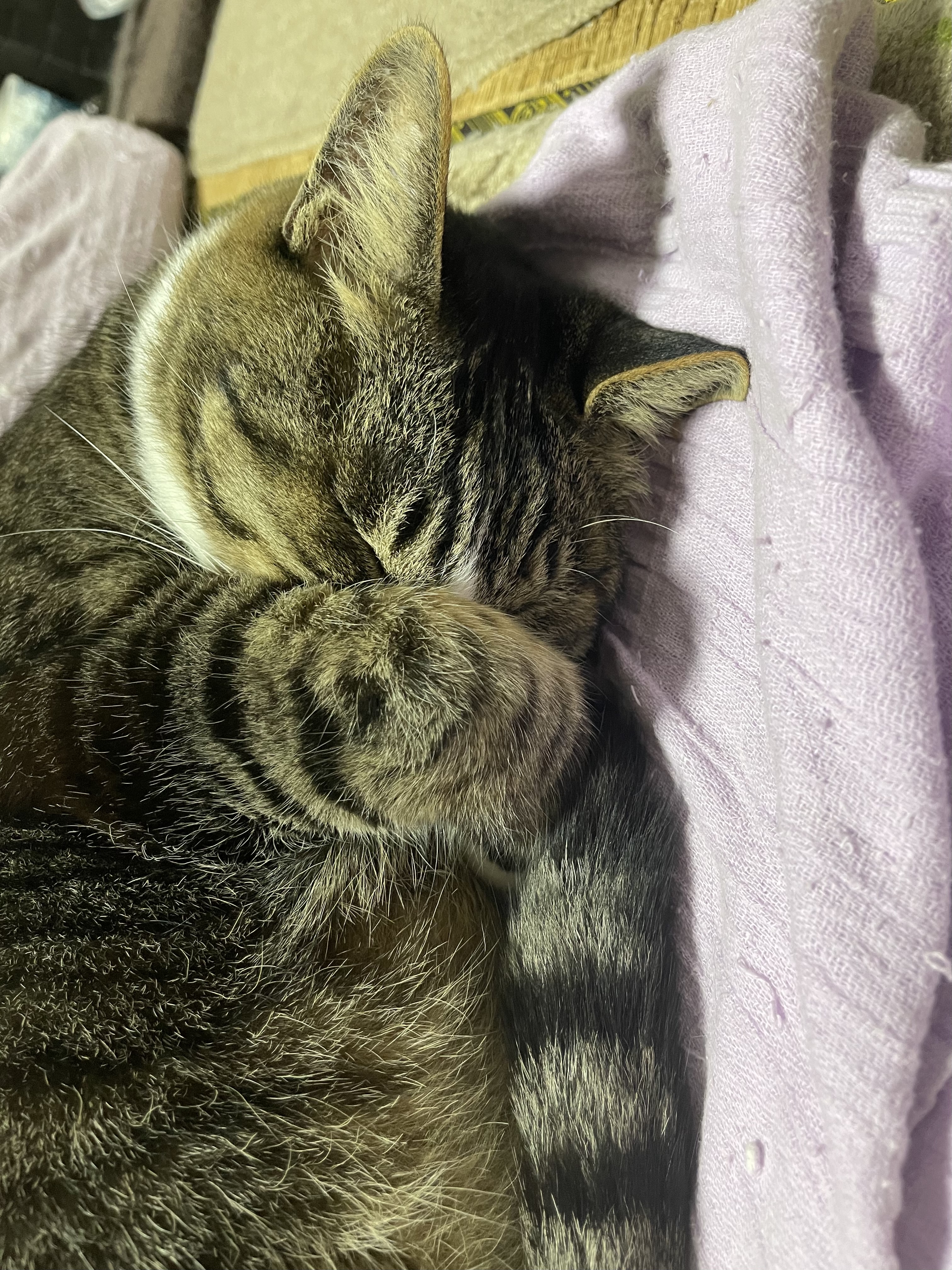 0B1E9776-DA77-488A-B09D-BC1009D1CC75