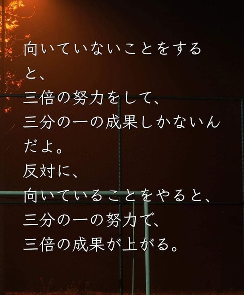 236A1AEB-4F32-45F9-A26B-F648458907E5