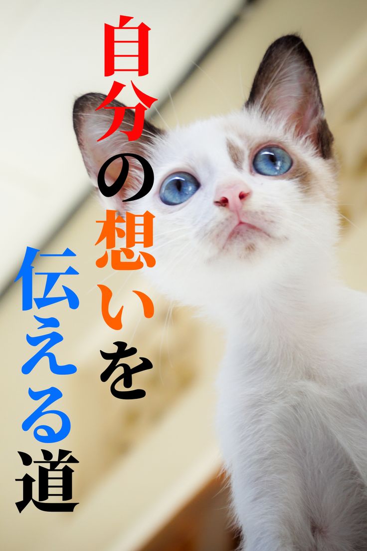 34EA9E3C-AF19-4D8E-9E02-1D134DD687EE