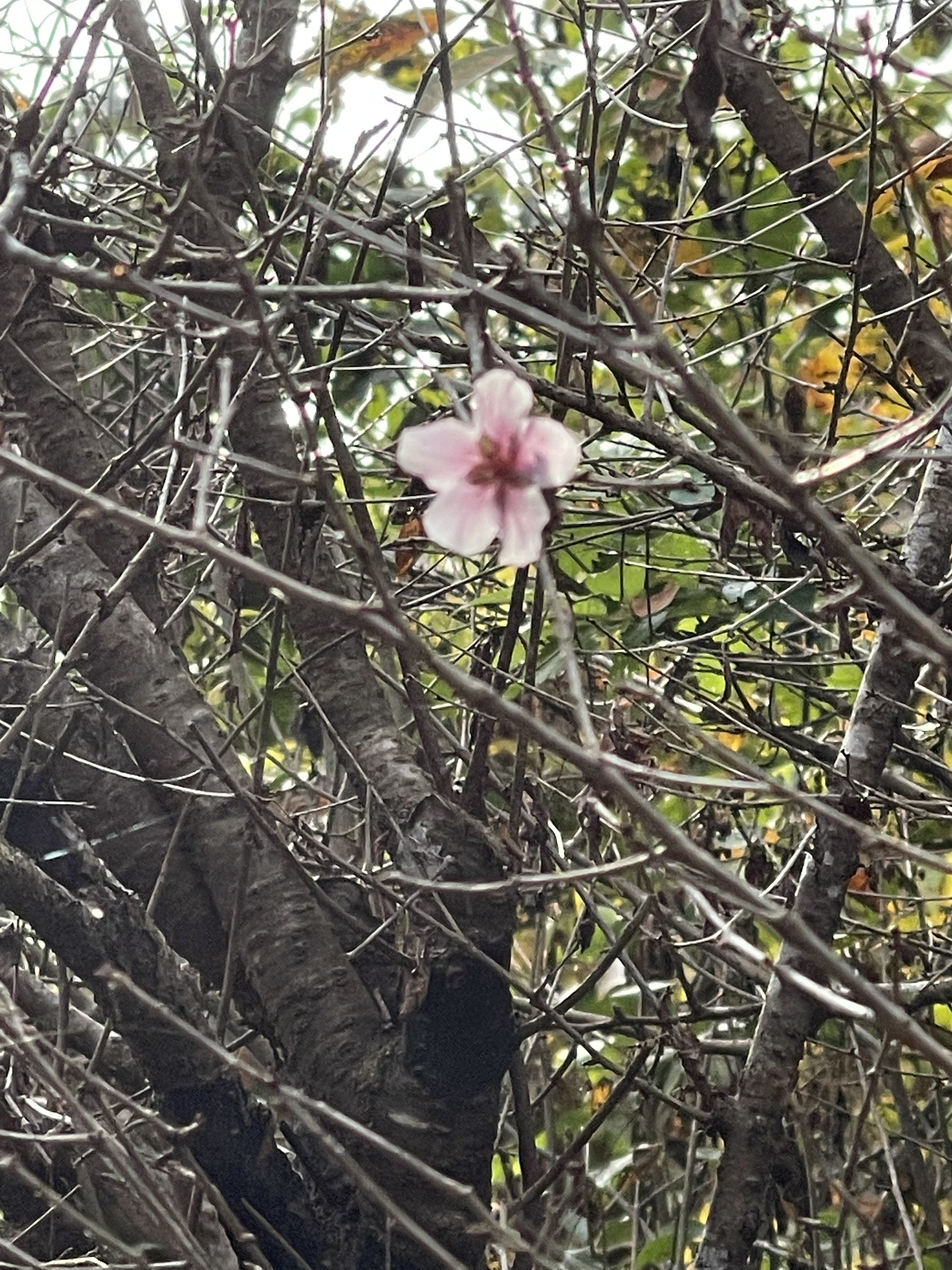 3ECAEE4A-71B7-4169-BE19-CC976C9D70A5