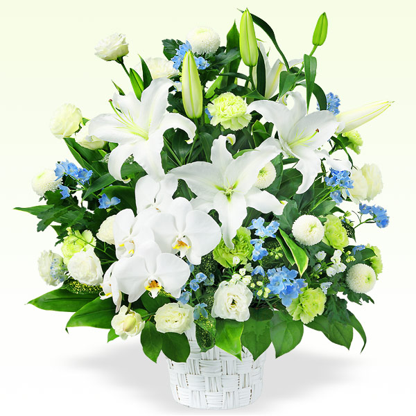 BA4CB1F7-FFEE-426A-9C02-EBCC450BEBFB