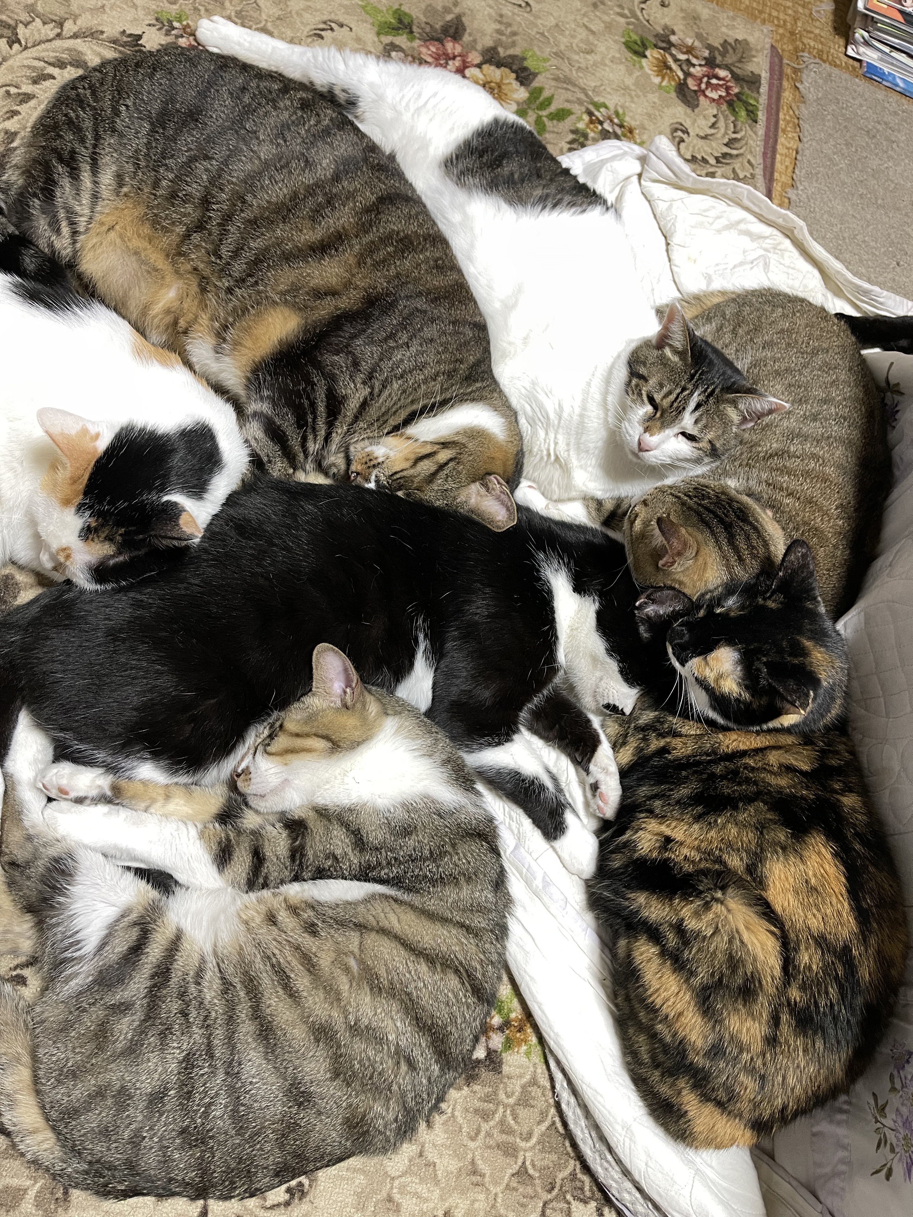 D6CBEF57-3A8B-4094-B04F-9D378A89D8D2