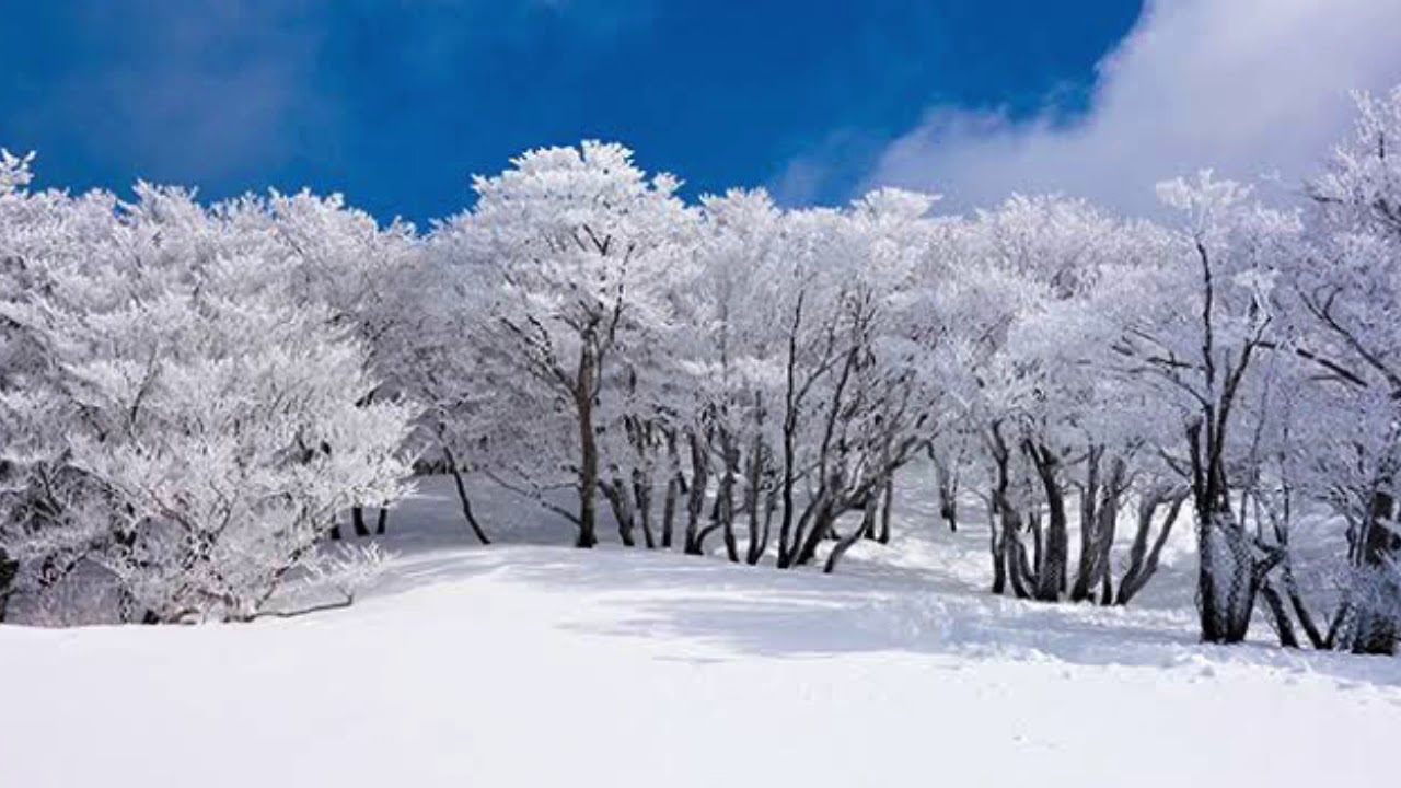 8C2E6286-A976-41EF-B706-FC03166EEA0E