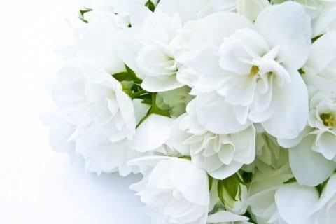 96913A5E-BB4C-4193-8D81-61A90BFCC7A0