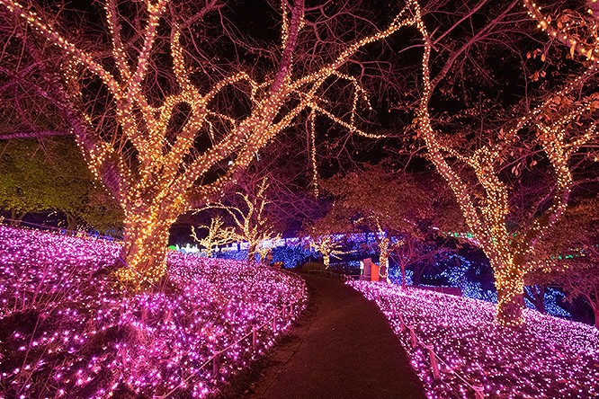 BC601E6E-49D3-46AB-8C24-07730CDC3F87