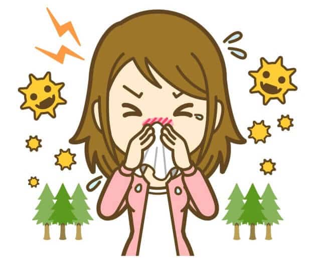 1F0665ED-D563-4DBA-9BEF-E6F583D7E23D