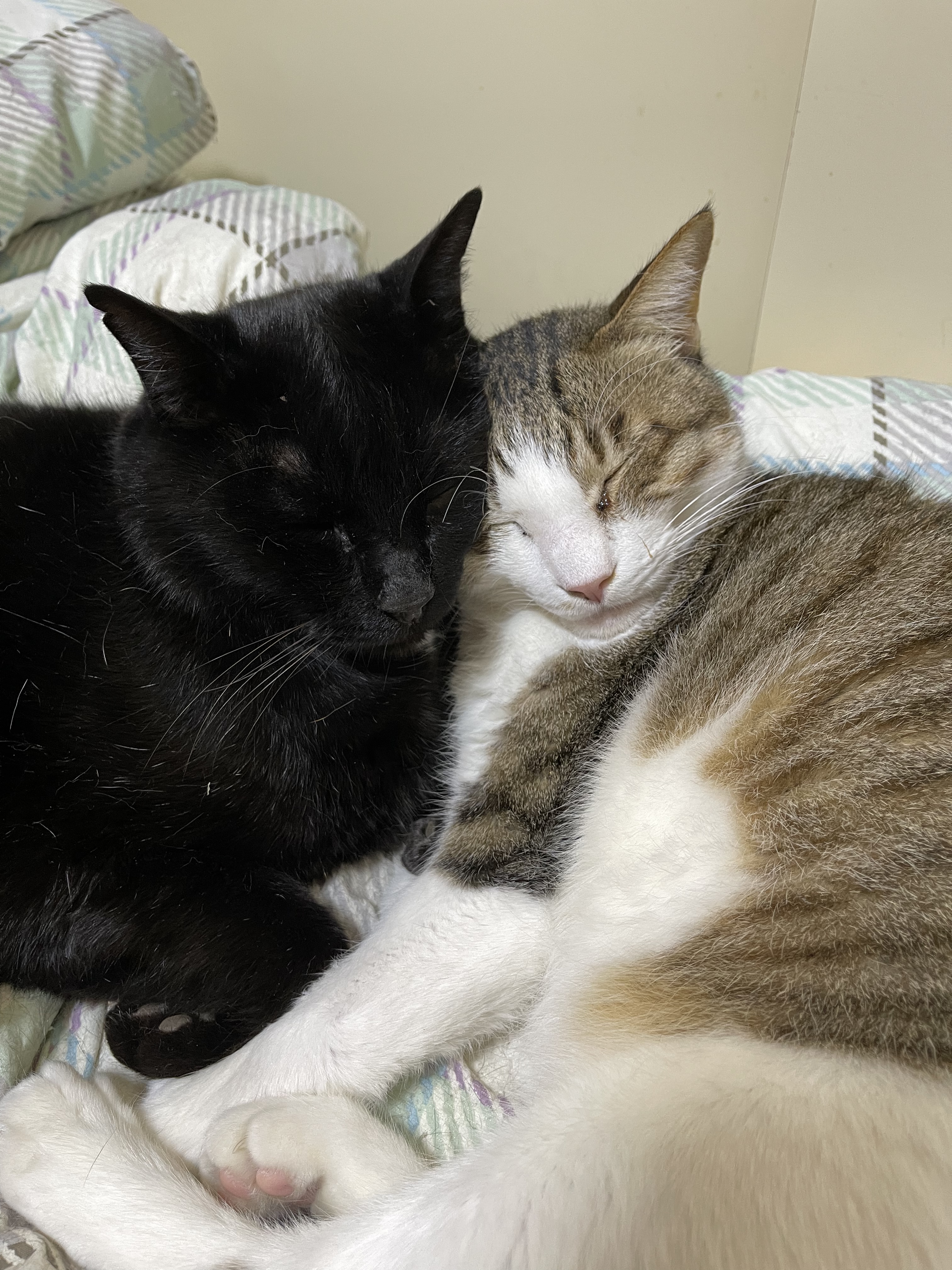 3021D904-0495-4872-B146-01B5F50397A6