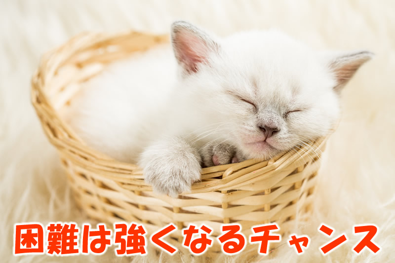 6C866754-B285-4C2F-8943-21870DB8ADCC