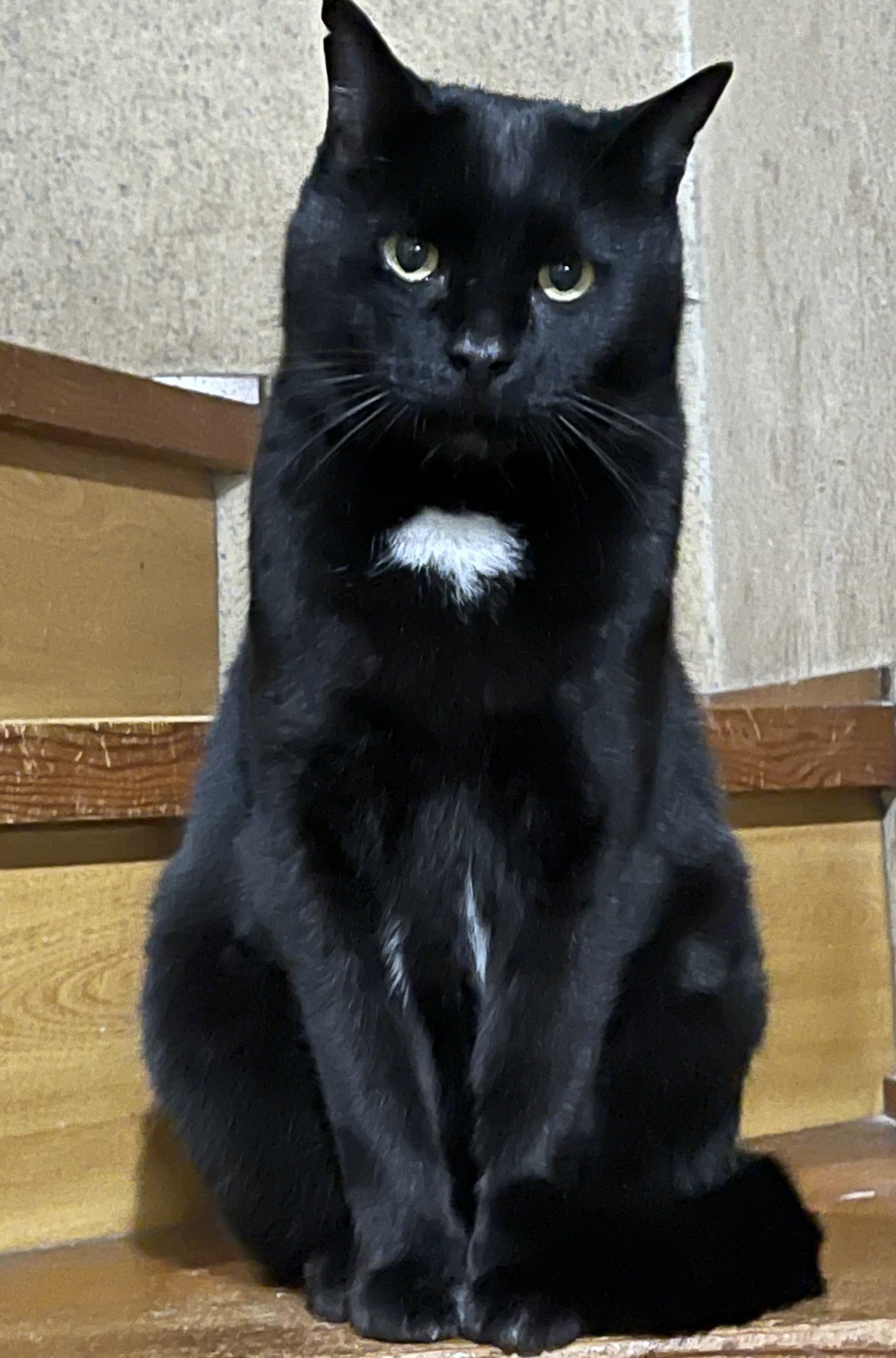 DBA403C5-D777-40D7-A353-A4BE3203815E