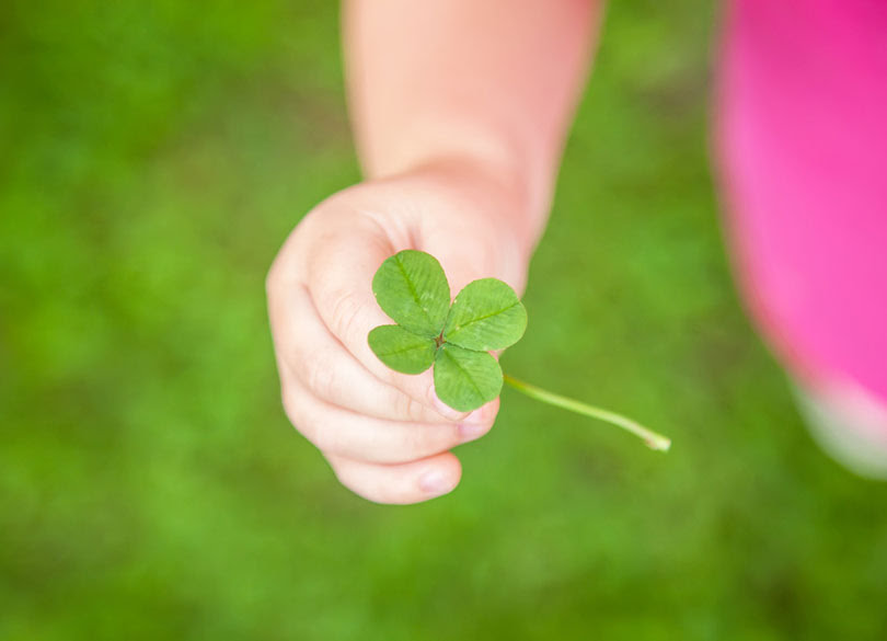 FE90B534-50B0-42D2-8F5E-0373299E13DC