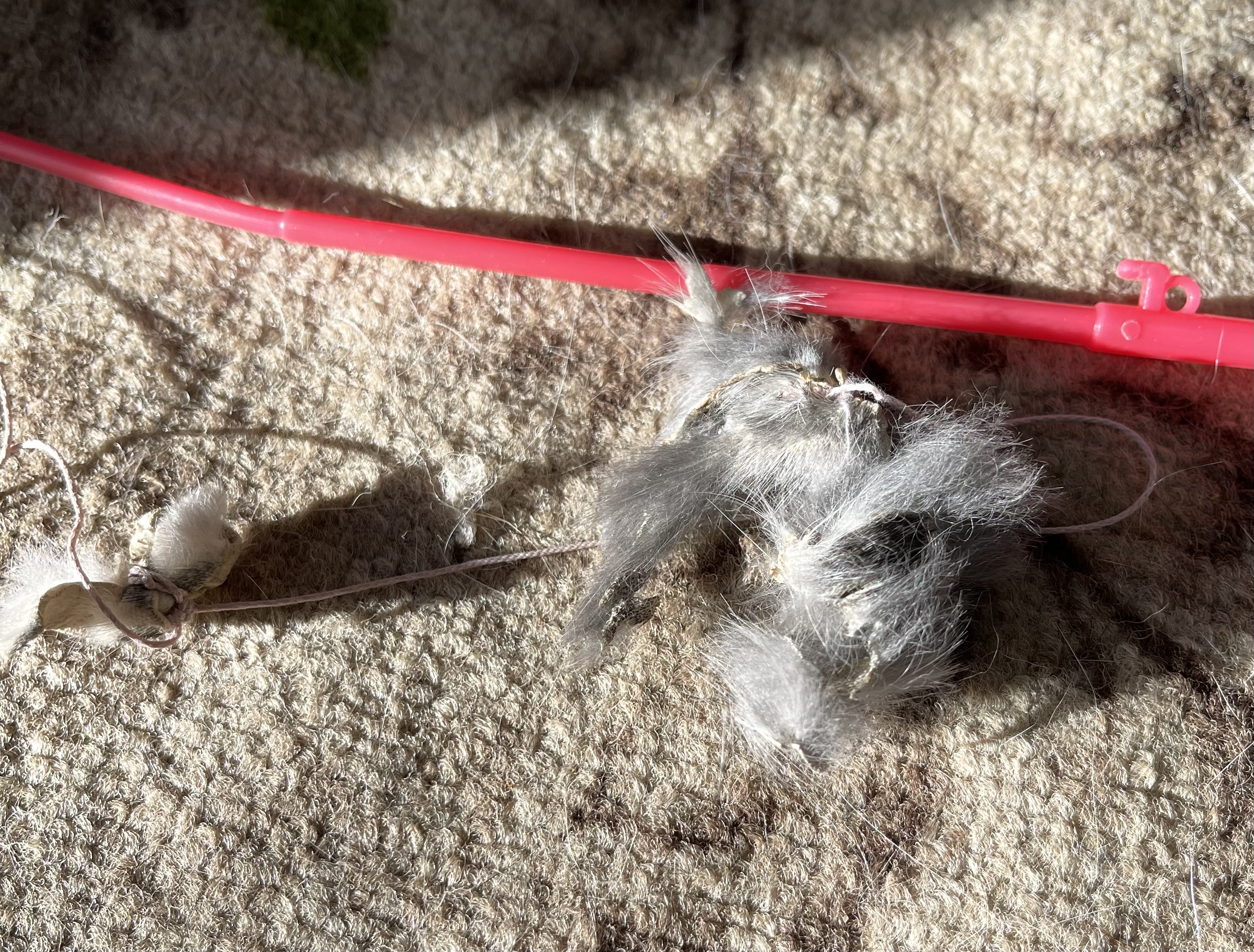 00C01F3A-380C-4A83-B446-5D64B424447A