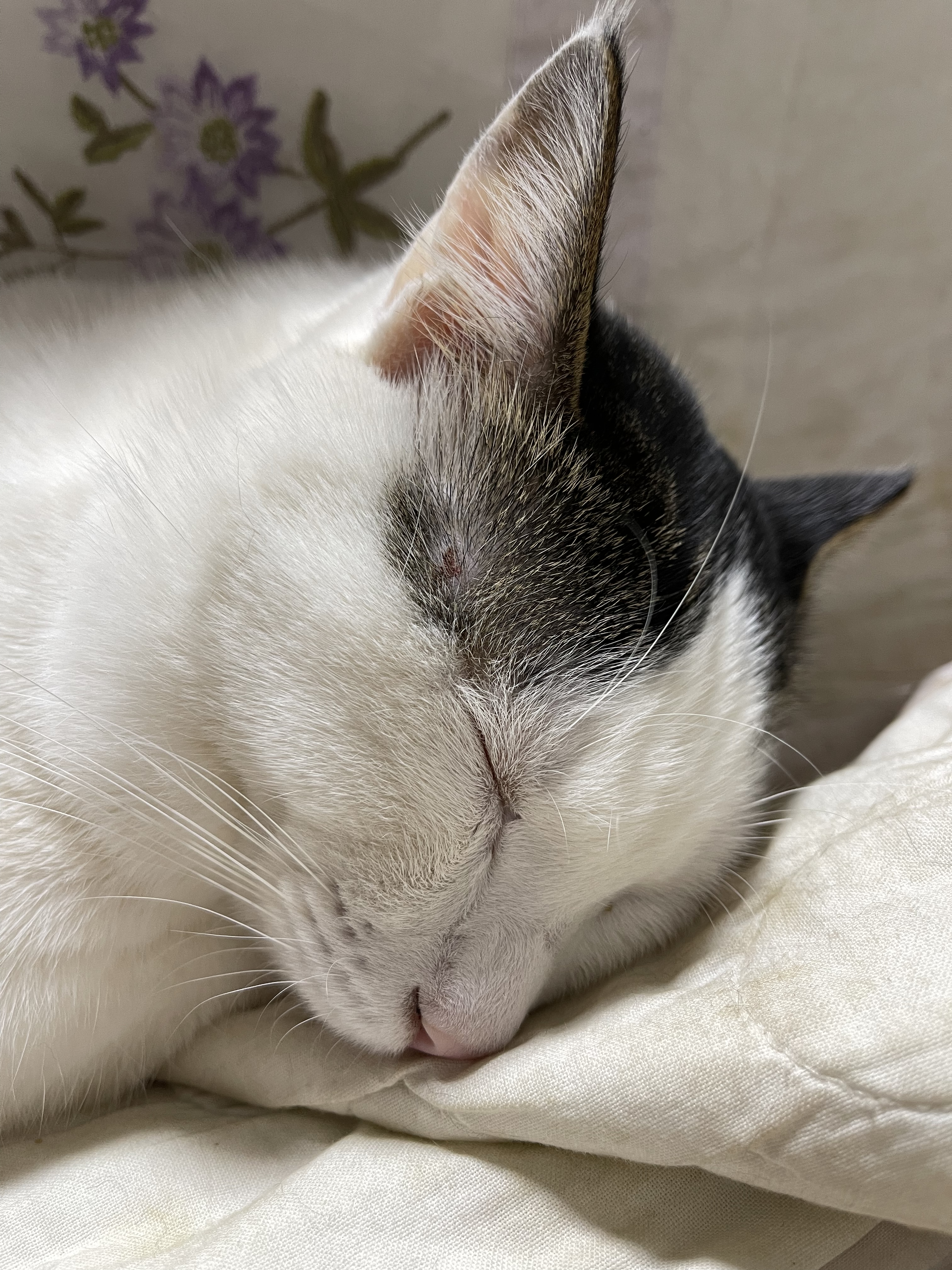 1D35A2E1-A7CD-4392-84D8-3895D03C85BA