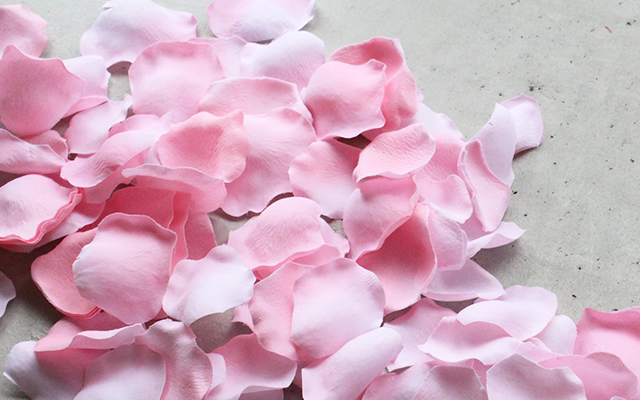 3F701A39-3A16-47C1-A9E0-9C61D6DEBD35