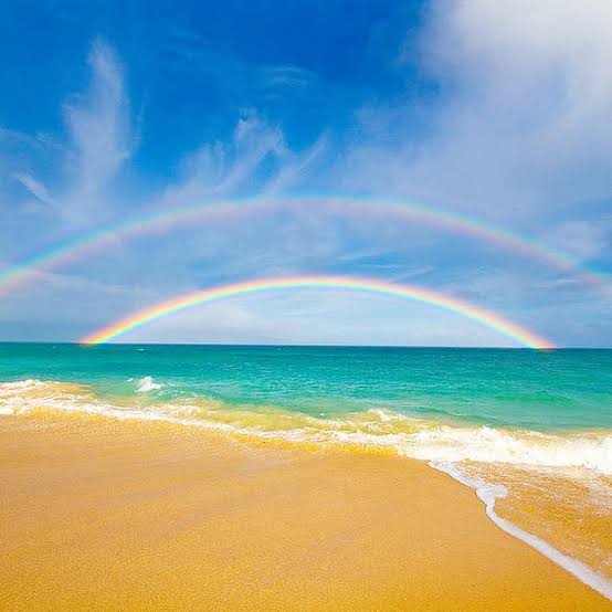 461AE851-2EC9-430D-9B97-FE2A8954E913