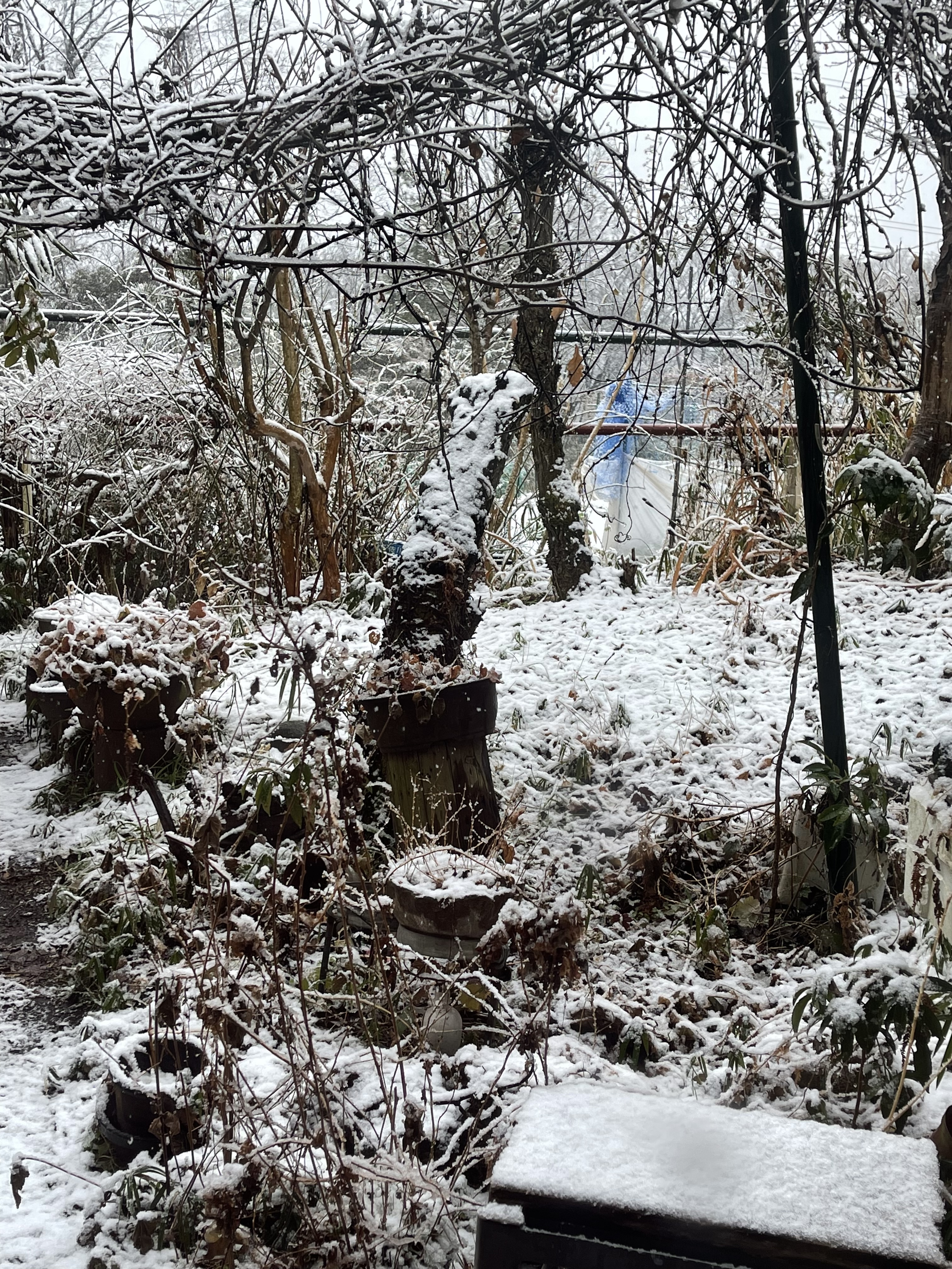 62C9DEDD-CCF7-4654-B866-17515EF2E067