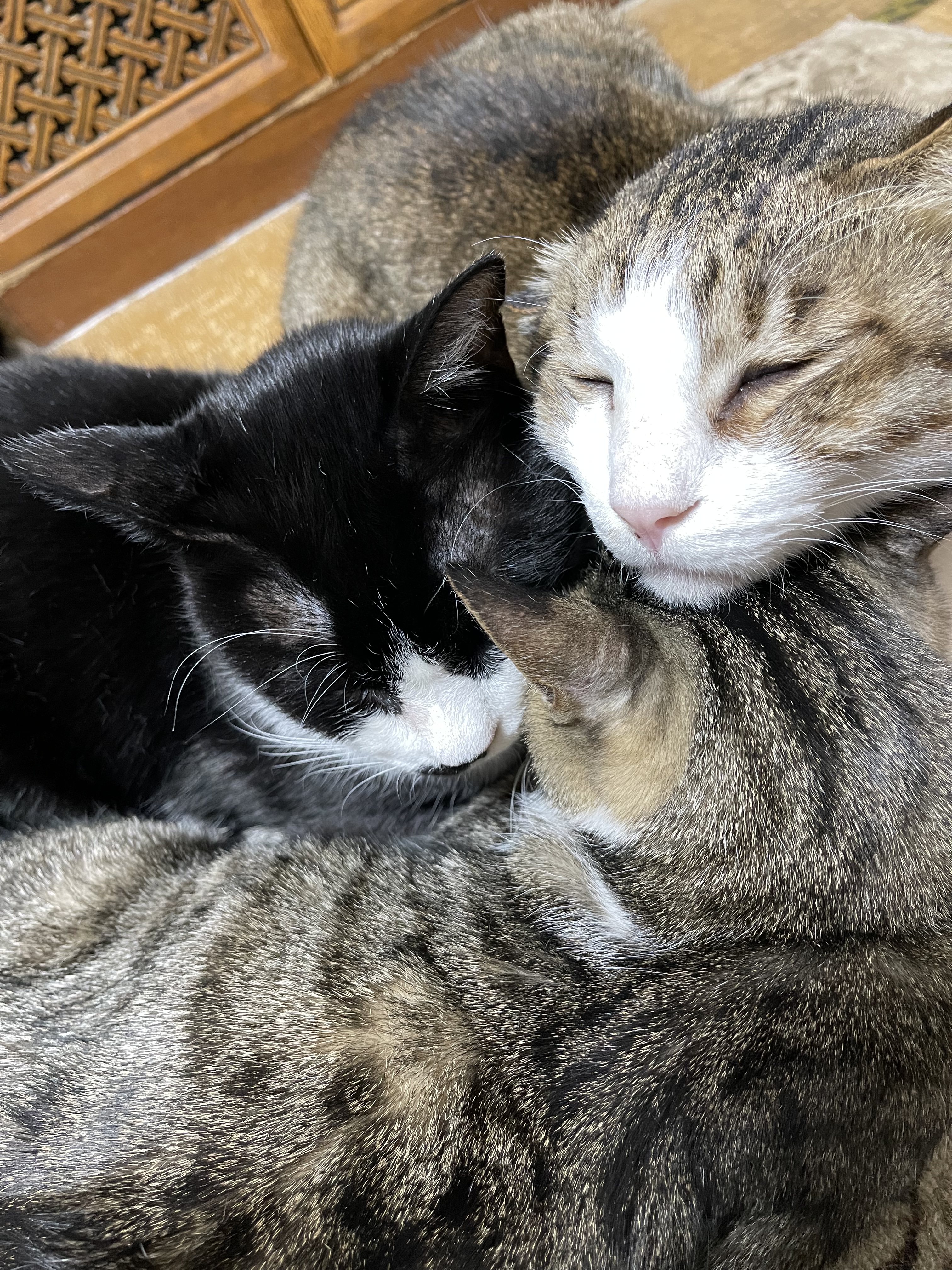 688036E1-D658-4F6E-8531-7B5BFBAE2E91