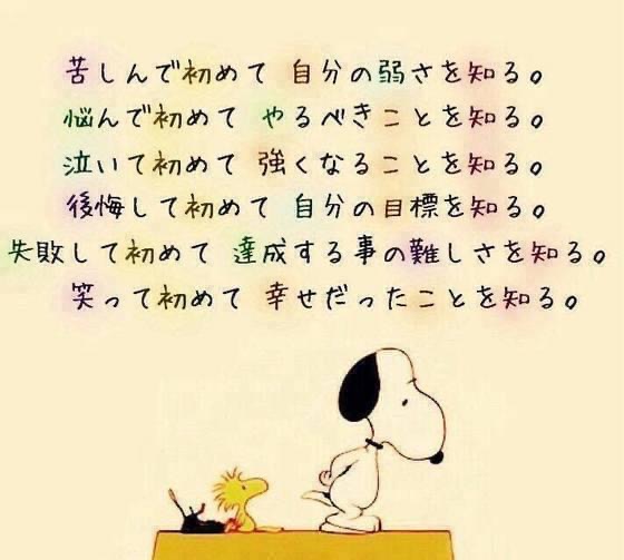 690681C9-532D-4CFD-9F24-264260315CF9