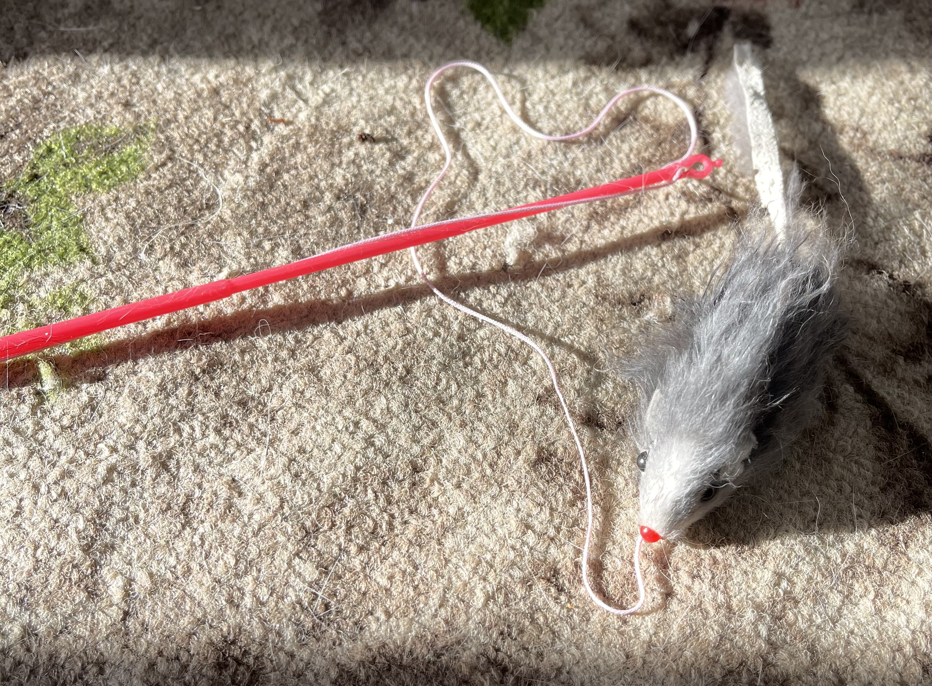 7032868D-FB10-466A-8AE5-C7E6AF4D0ECF