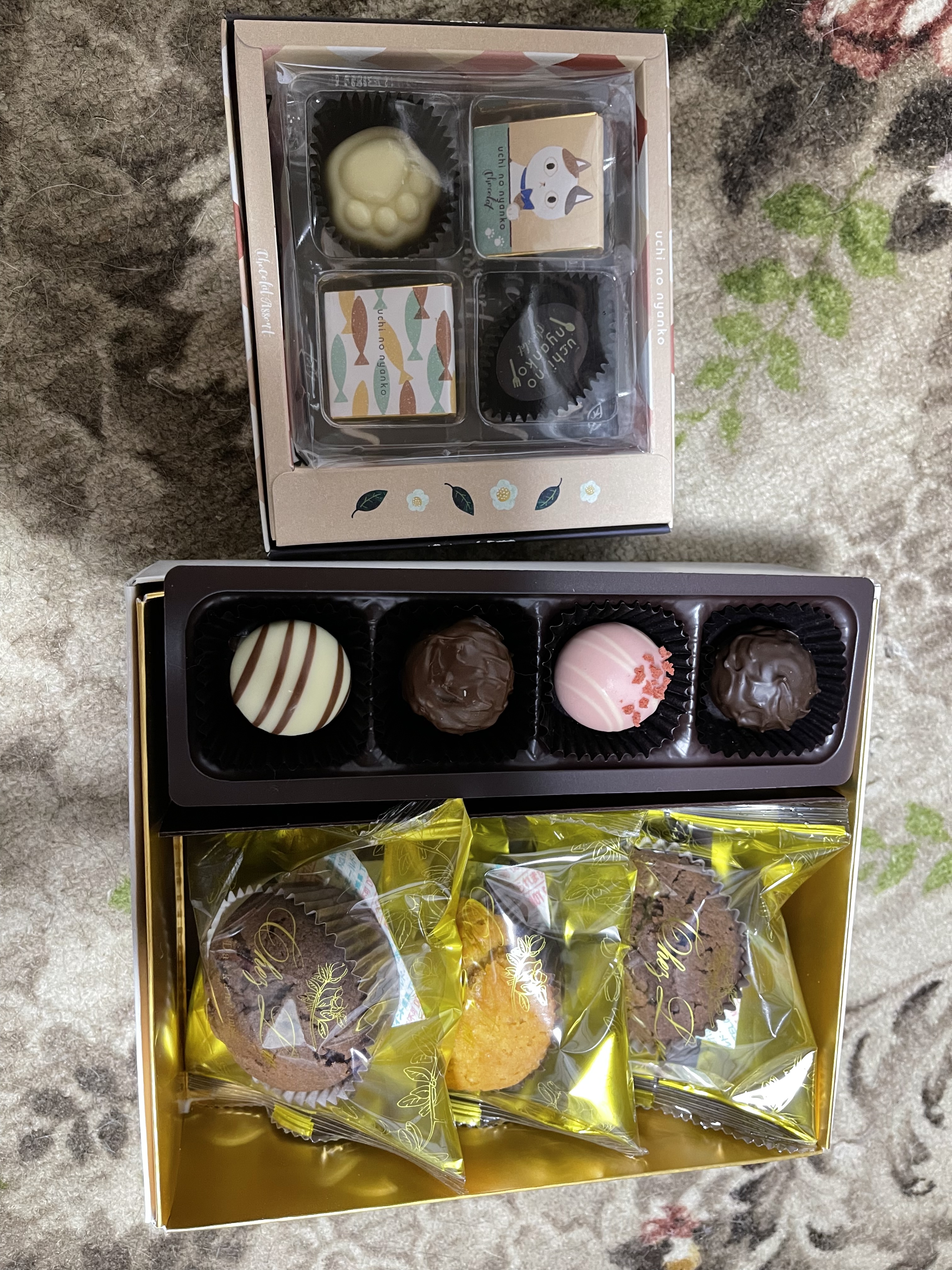 82F39E4E-80EE-4F6A-AFD8-8A95A7111E9E