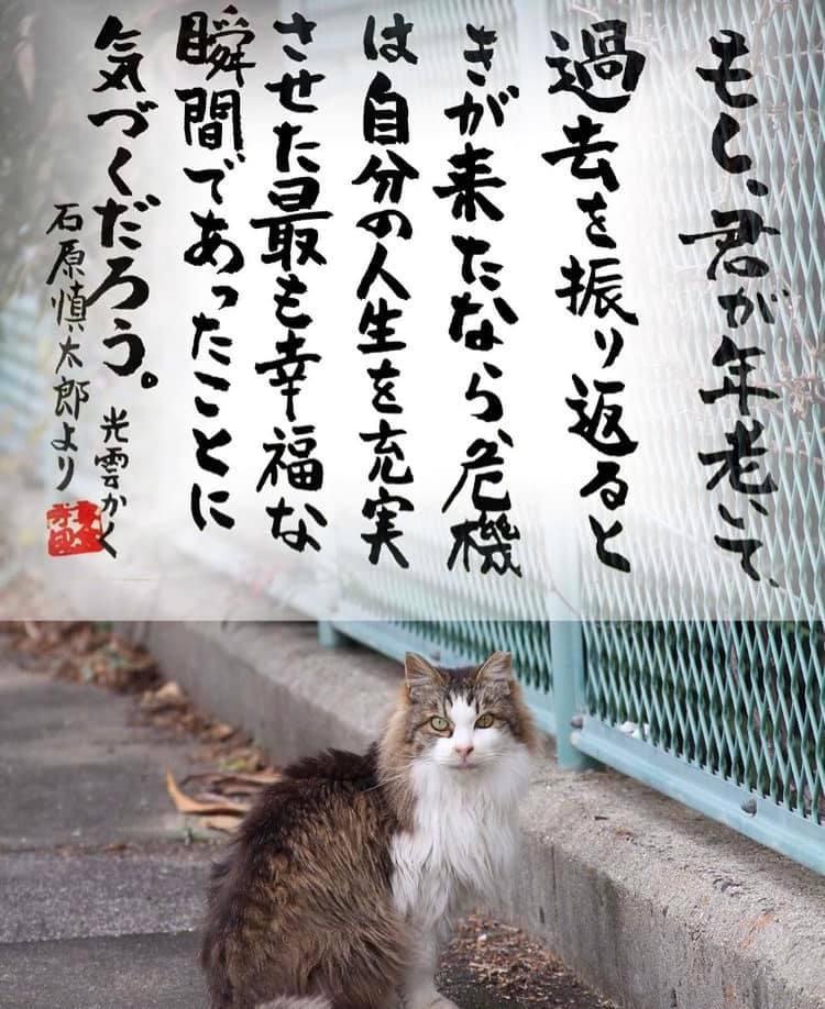 83DB2F35-65EF-4AD7-A48D-2D02FD930A61