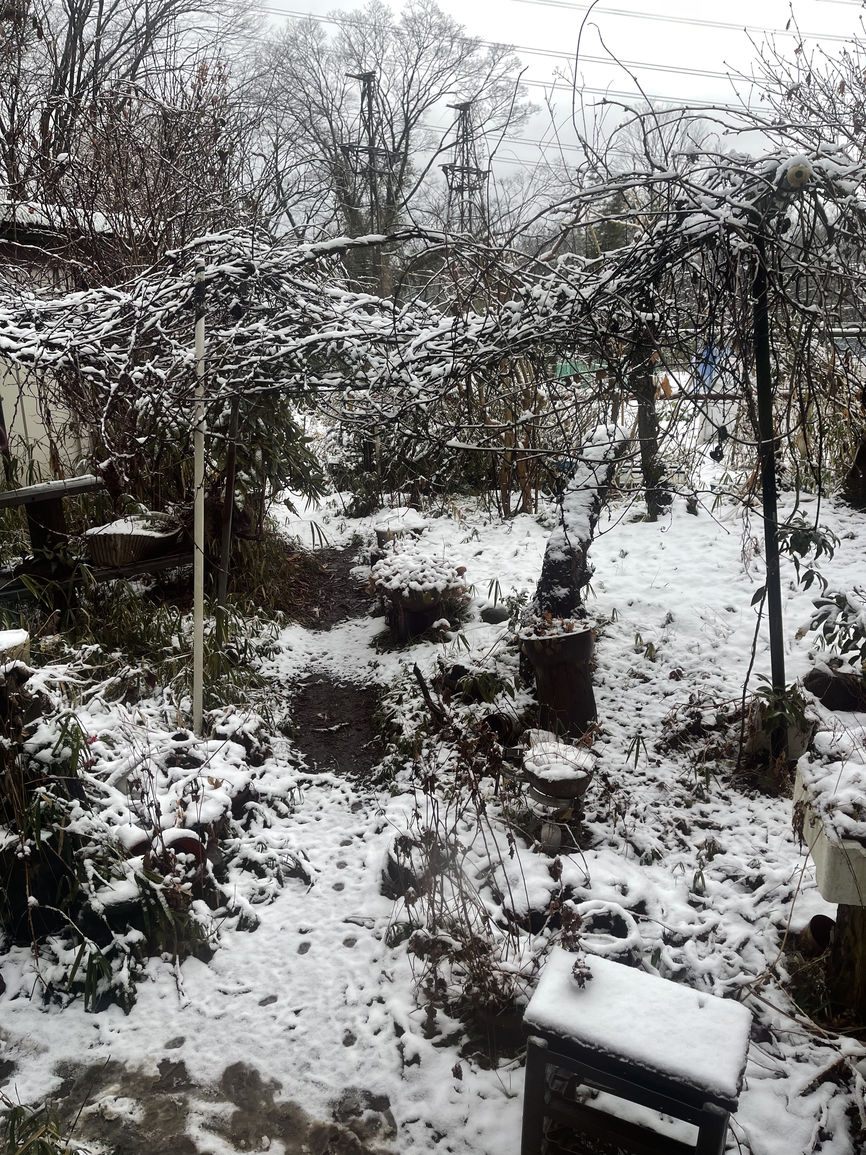 8B7DF629-134F-4D9C-ADAB-974EC927F983