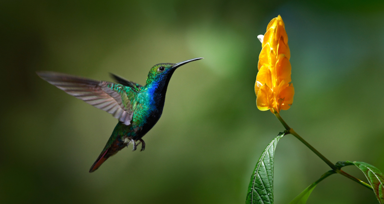 A9C89ABF-ECA9-4315-9482-A853DC3AEA71