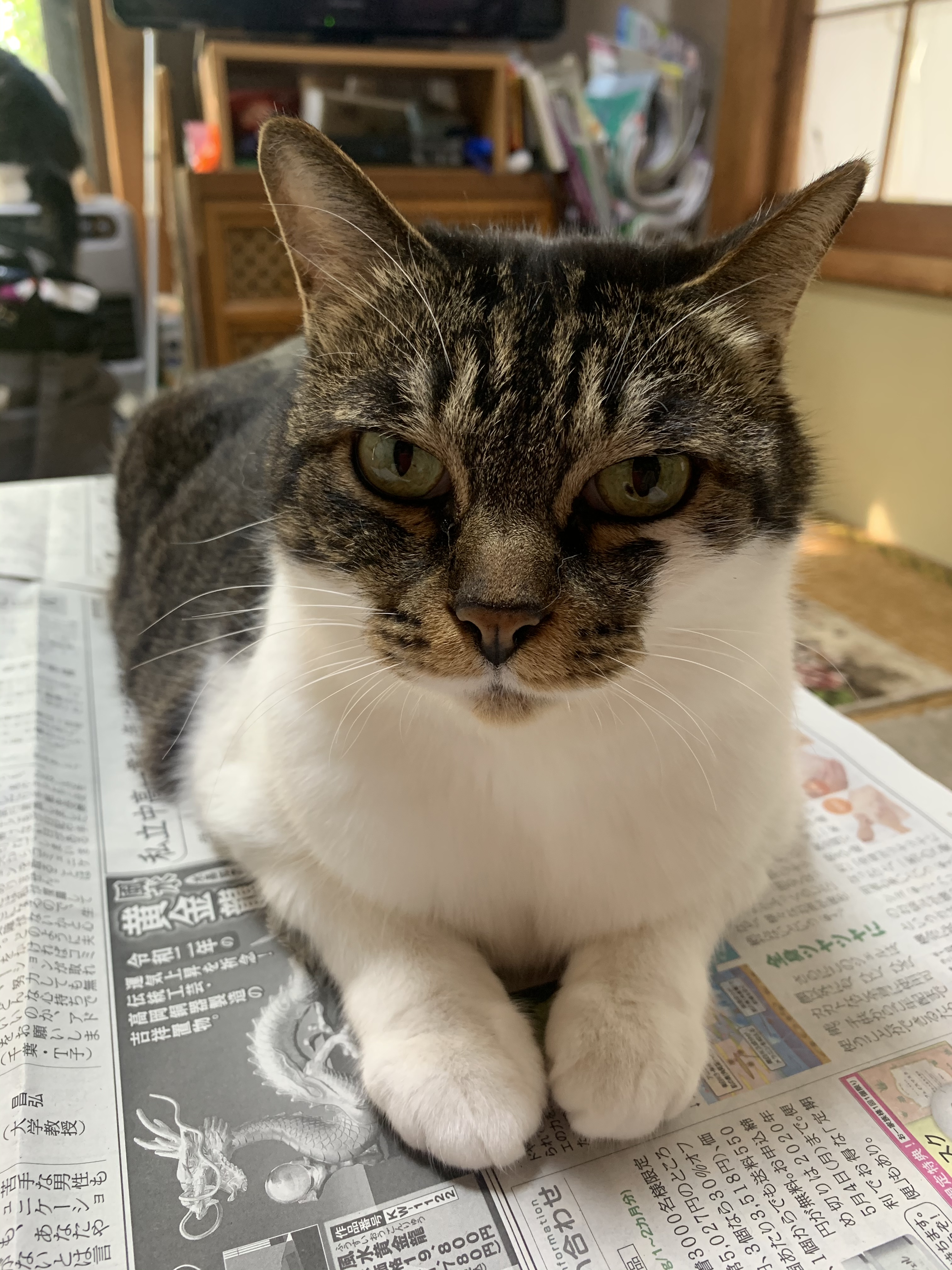 D3462A8F-81DF-42FB-9F4C-49018AEB6CF6