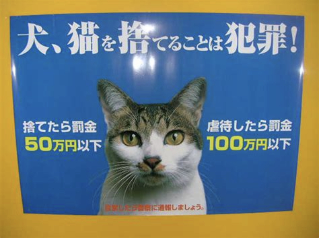 E27EA2A1-1F88-4F0E-BA34-6C518026714C