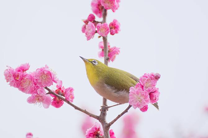 FDA36063-BCDB-4282-BE94-3BFC1AAE49F8