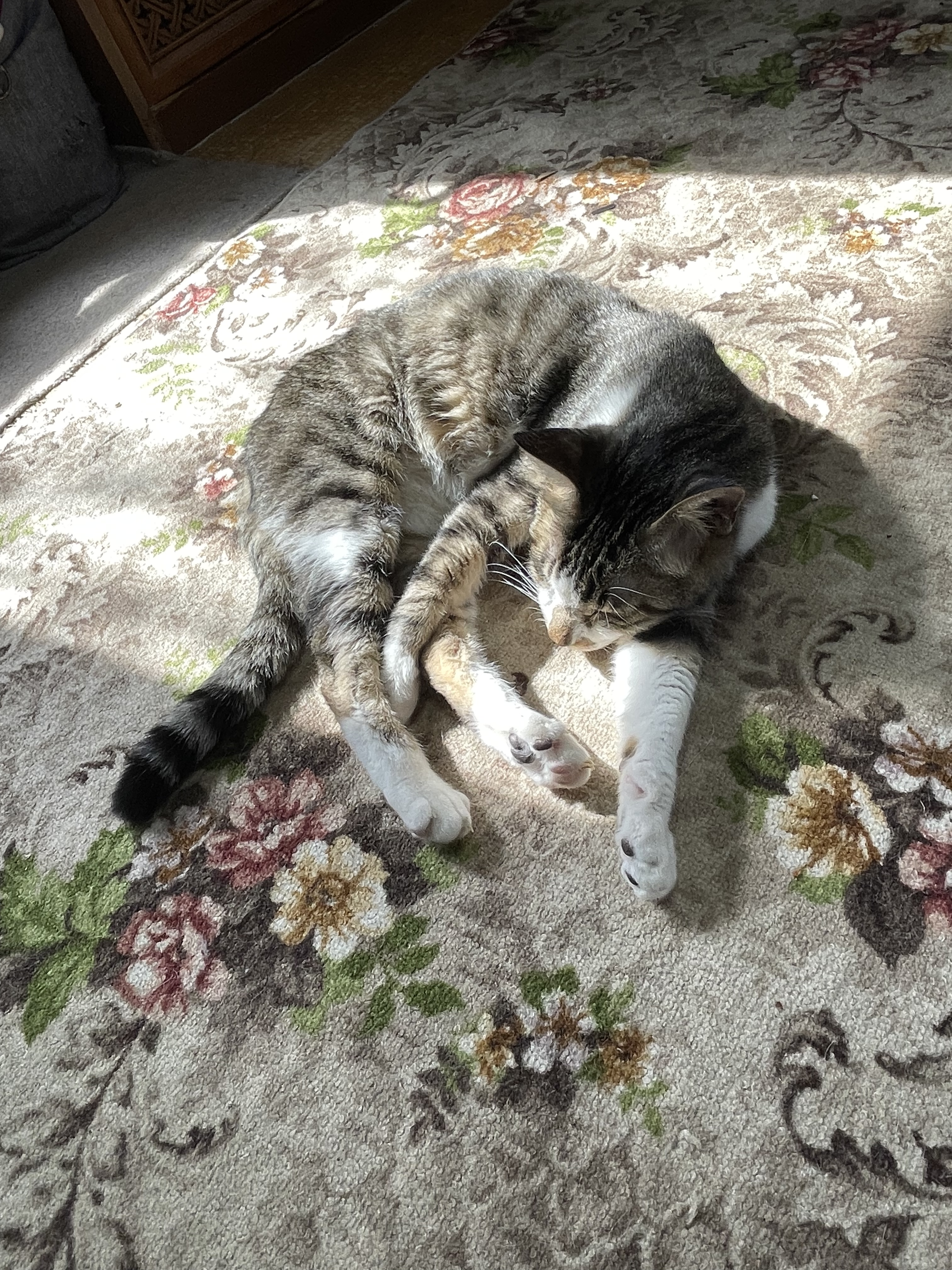 2AFACC57-7D8E-4E43-AF04-45B785A3AECF