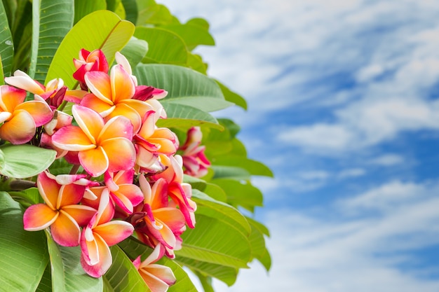 4A105C9F-7320-454C-AEA1-ED2C41DC50CB