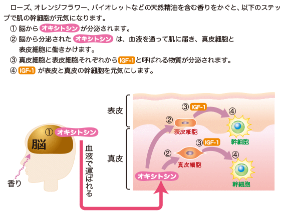 4F5E84F0-DC2D-44D7-BF18-EA7343A2B780