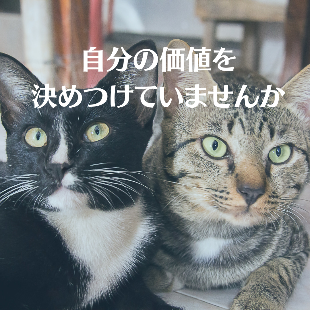 66E564AD-BE2C-4243-96DD-C51FFA683DC1