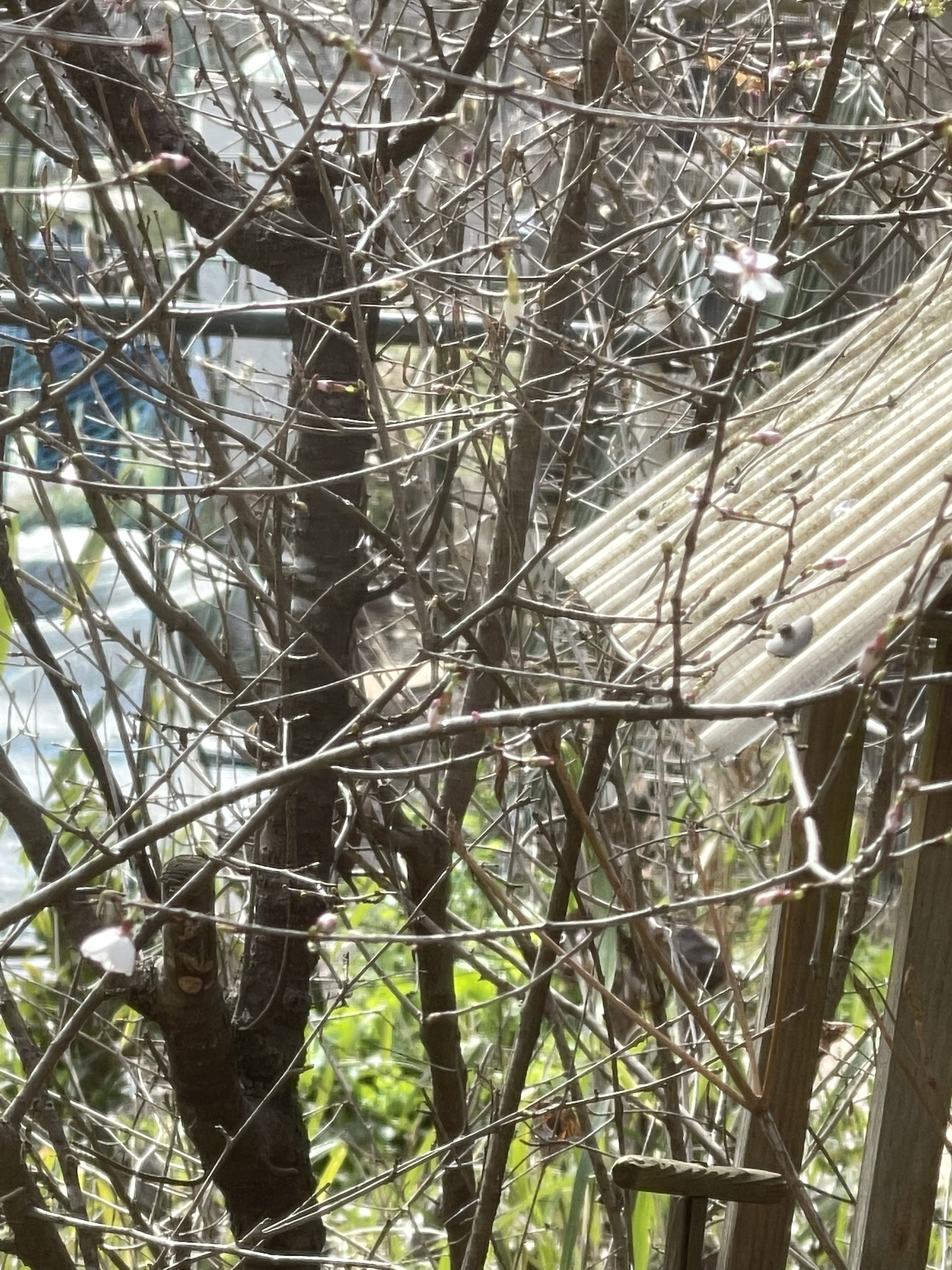 6826A7FD-53E3-4F7F-AA19-2BC23ACA1708