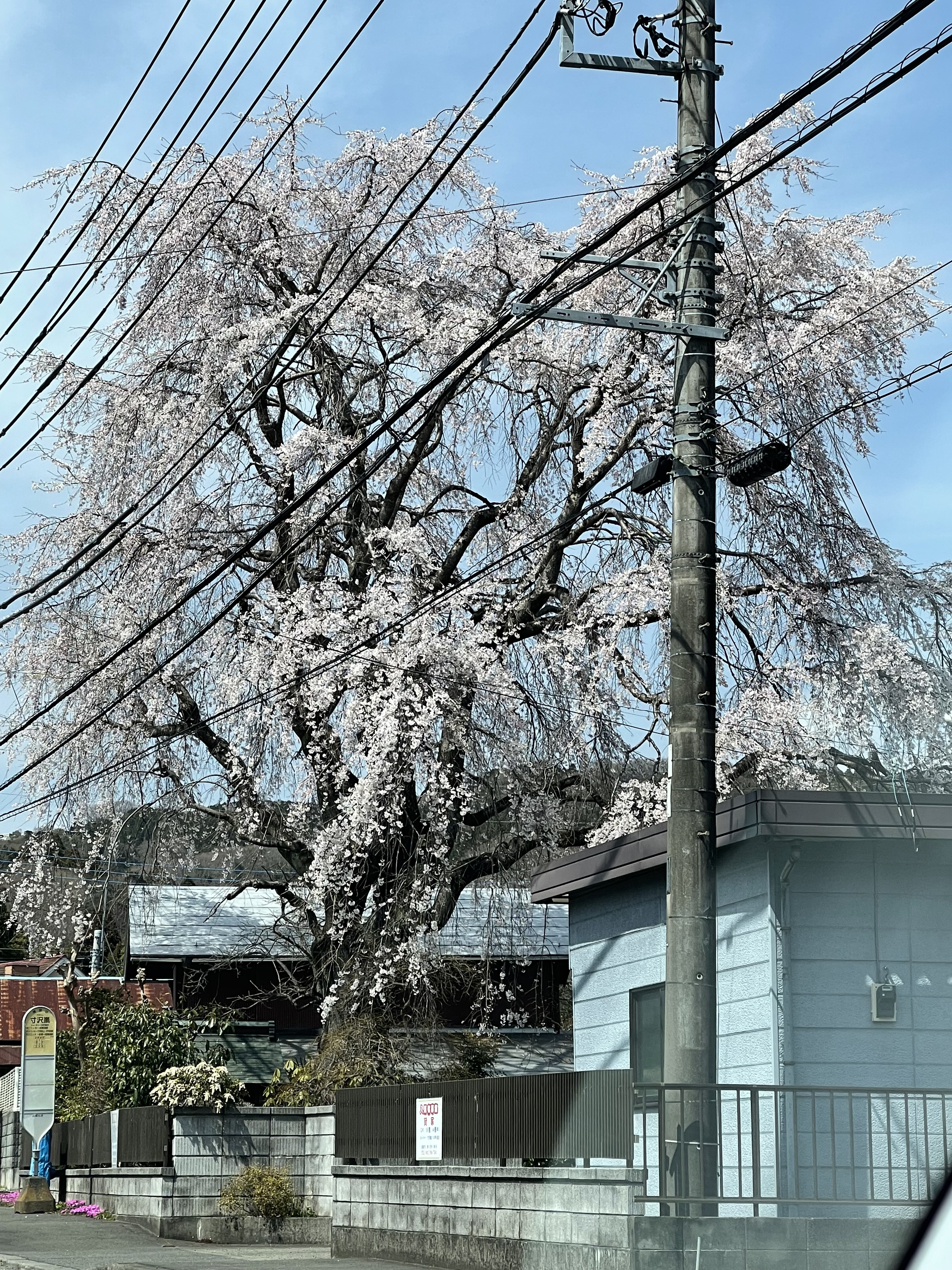 749FE10C-AB76-474B-9B17-1B3EFA3E6B3D