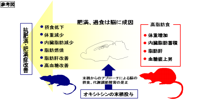 94330E37-A145-40E9-BCBB-2DEF3C627581