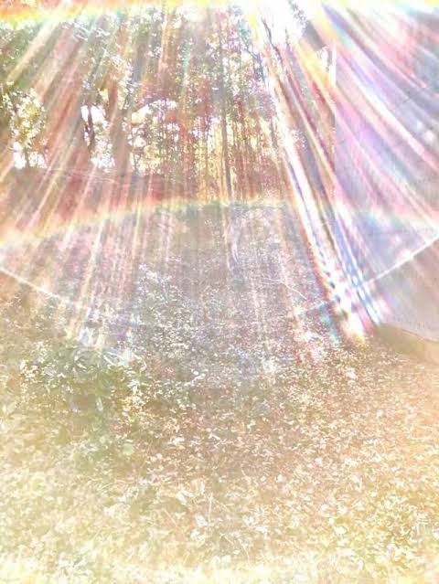 9924DDFA-934C-4C79-953D-203C90E796B4