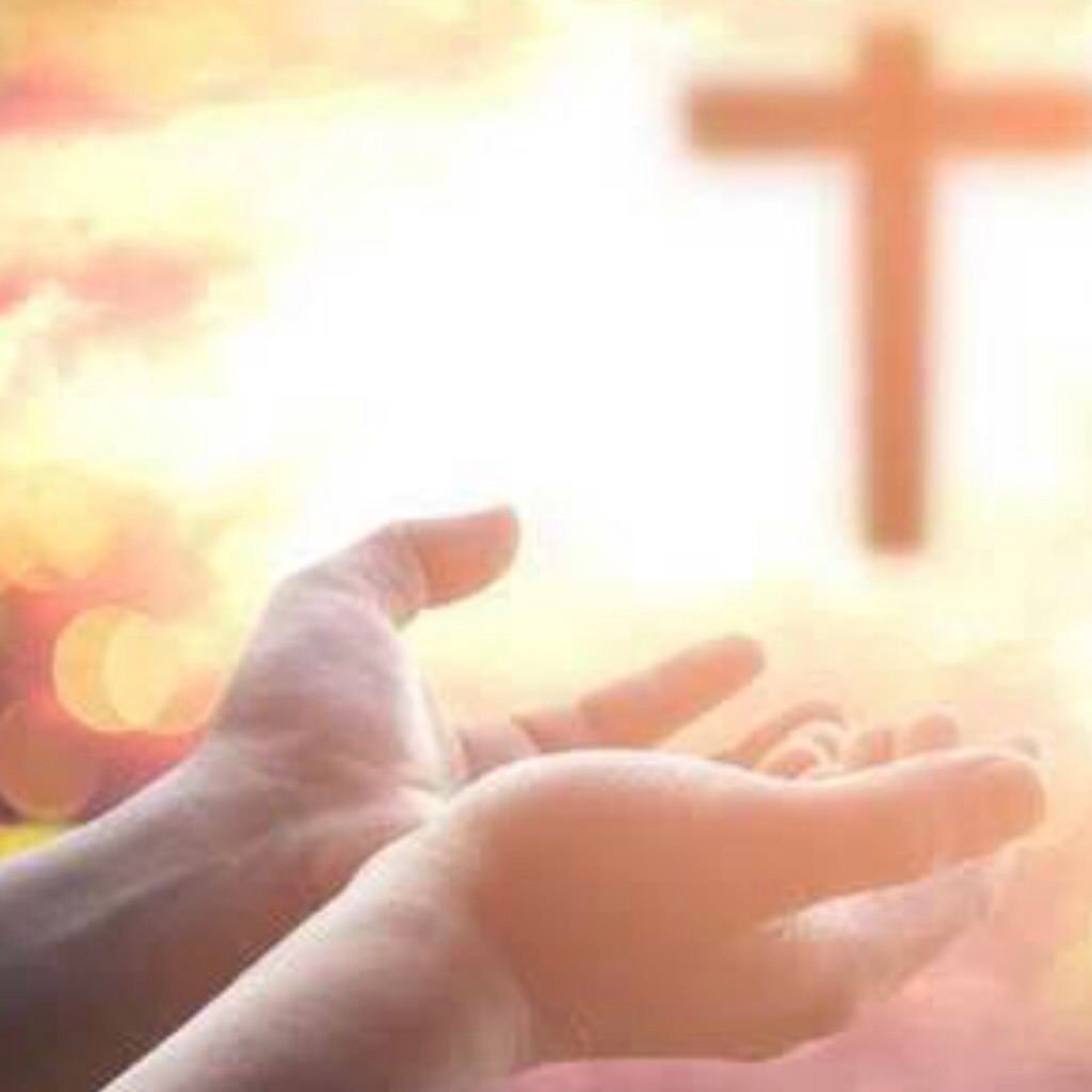 BEEE8611-075D-42C8-8D75-56A9C9C2DCA0