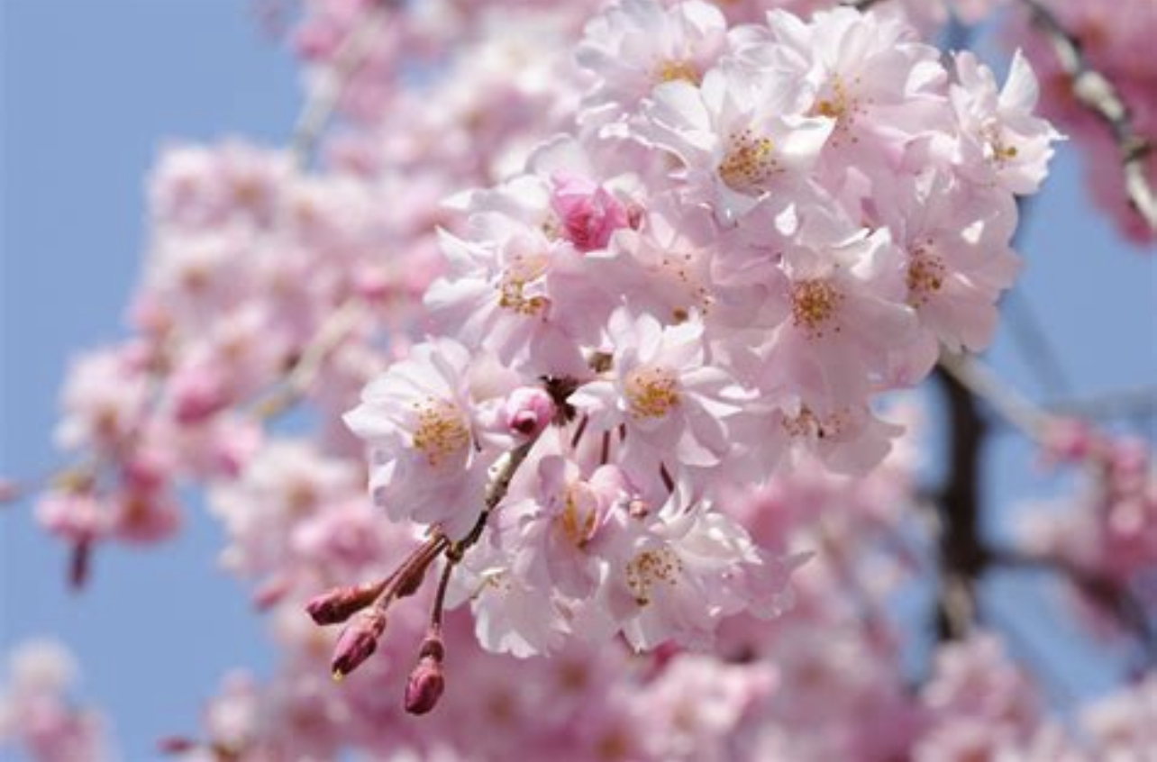 C01CA602-FA56-4FA5-97A1-564AFEA5C47B