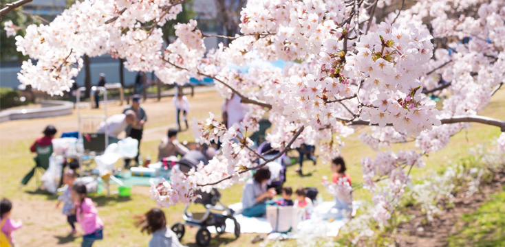 D0A6D83B-5D4E-4CC9-AE78-85137568C1ED