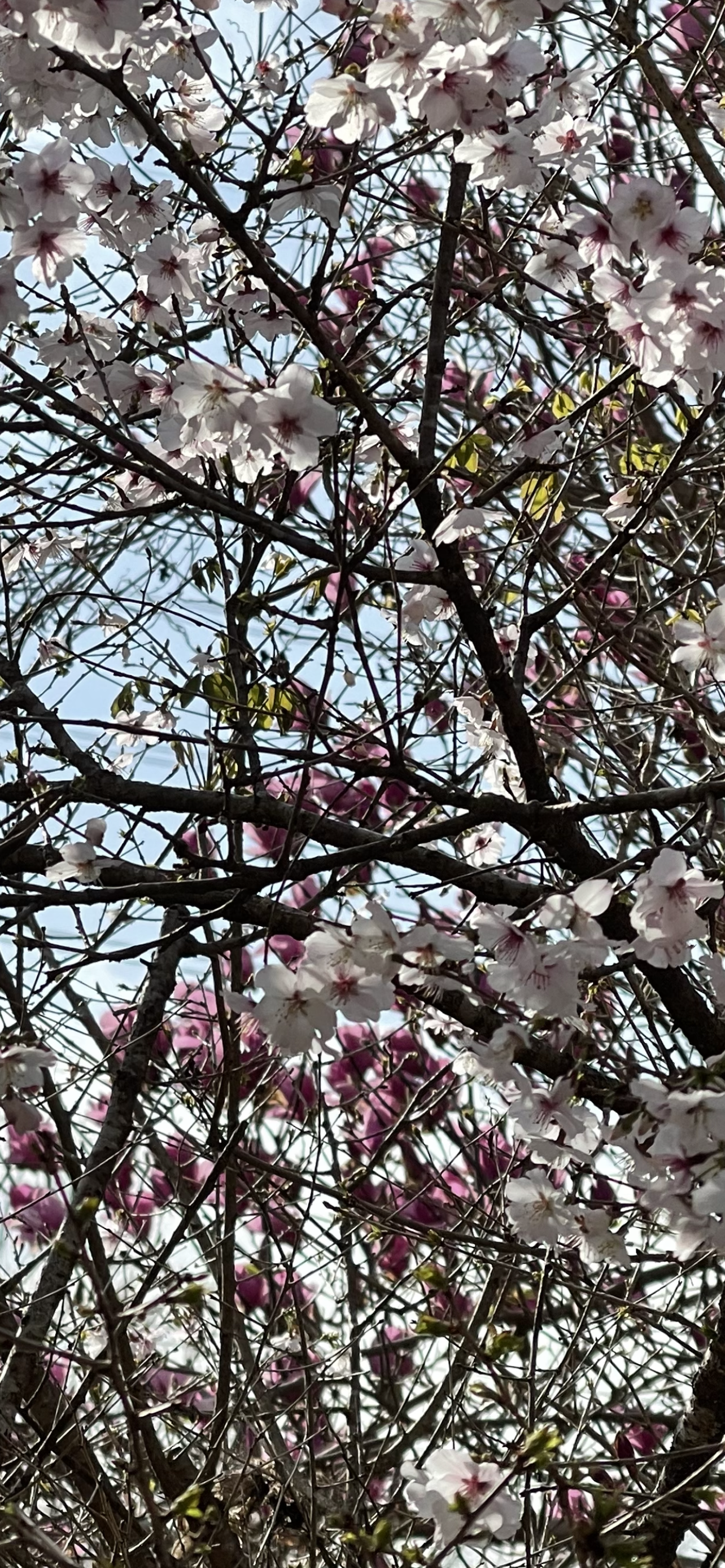 D34A72A2-7F62-44FE-B8A8-44E95024A3DF