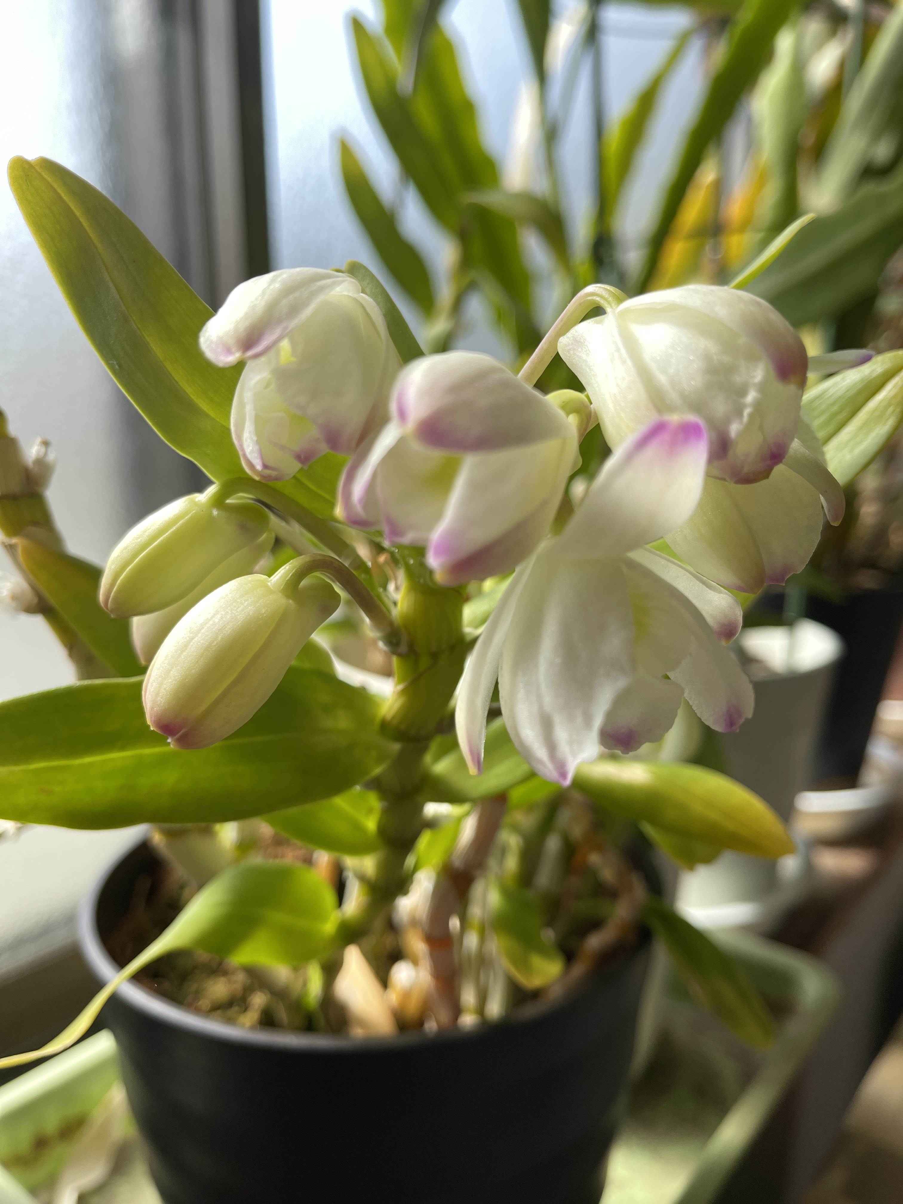 D86A50E0-599E-458E-A9EE-A4AAB195CD16